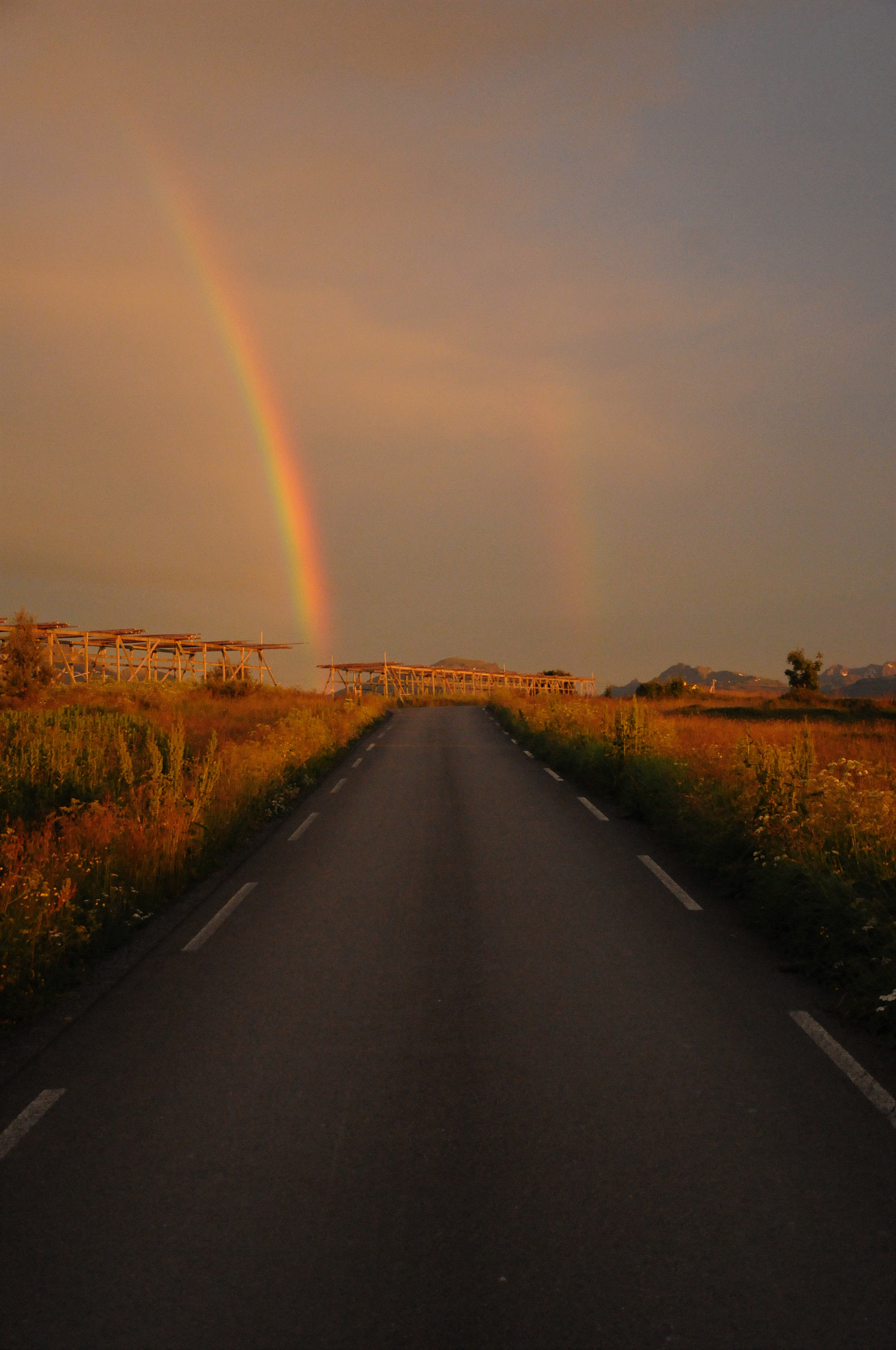 Nikon D300S sample photo. Summer rainbow in lofoten photography