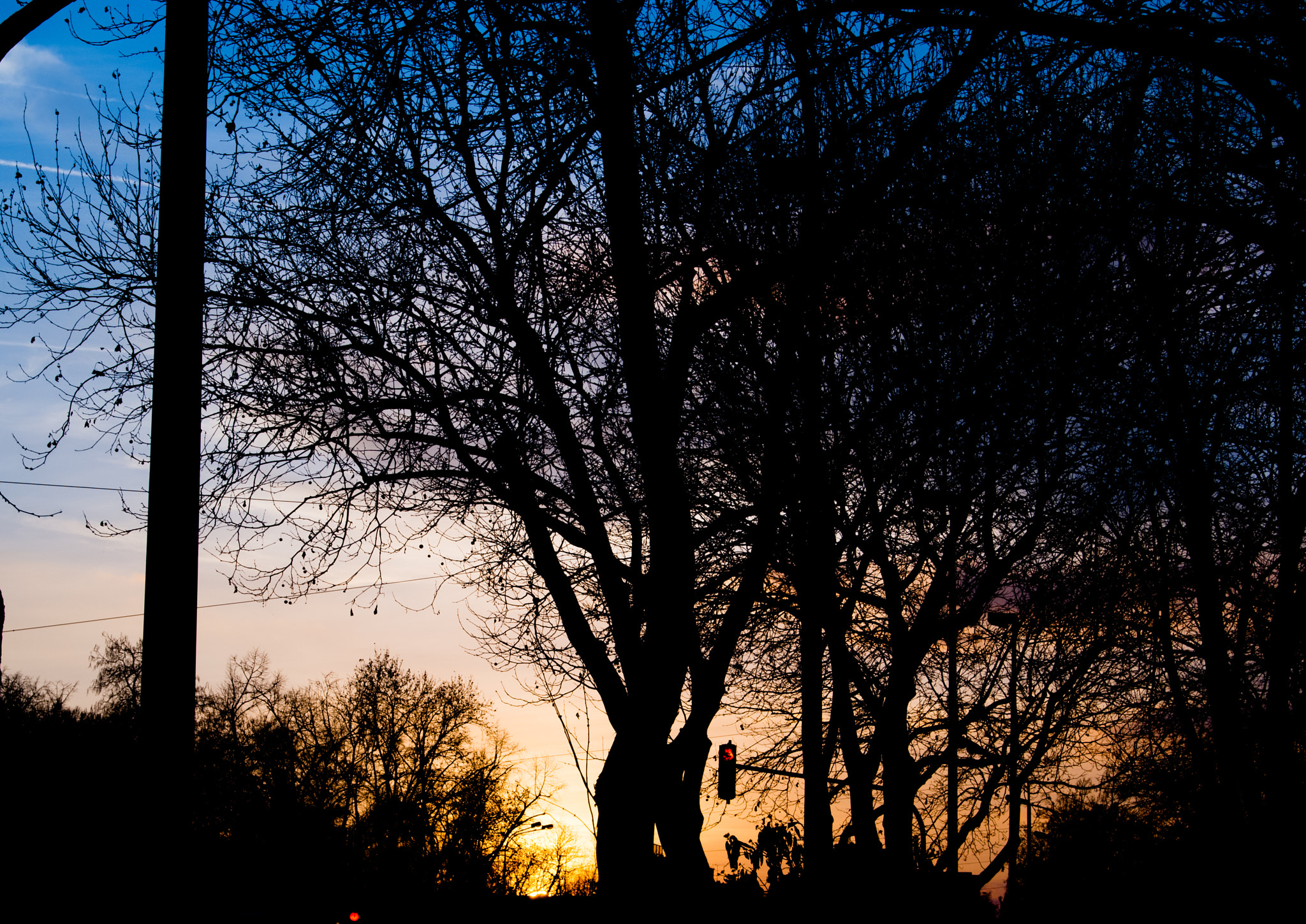 Sony Alpha DSLR-A230 + Sony DT 18-55mm F3.5-5.6 SAM sample photo. Sunset behind the tree photography