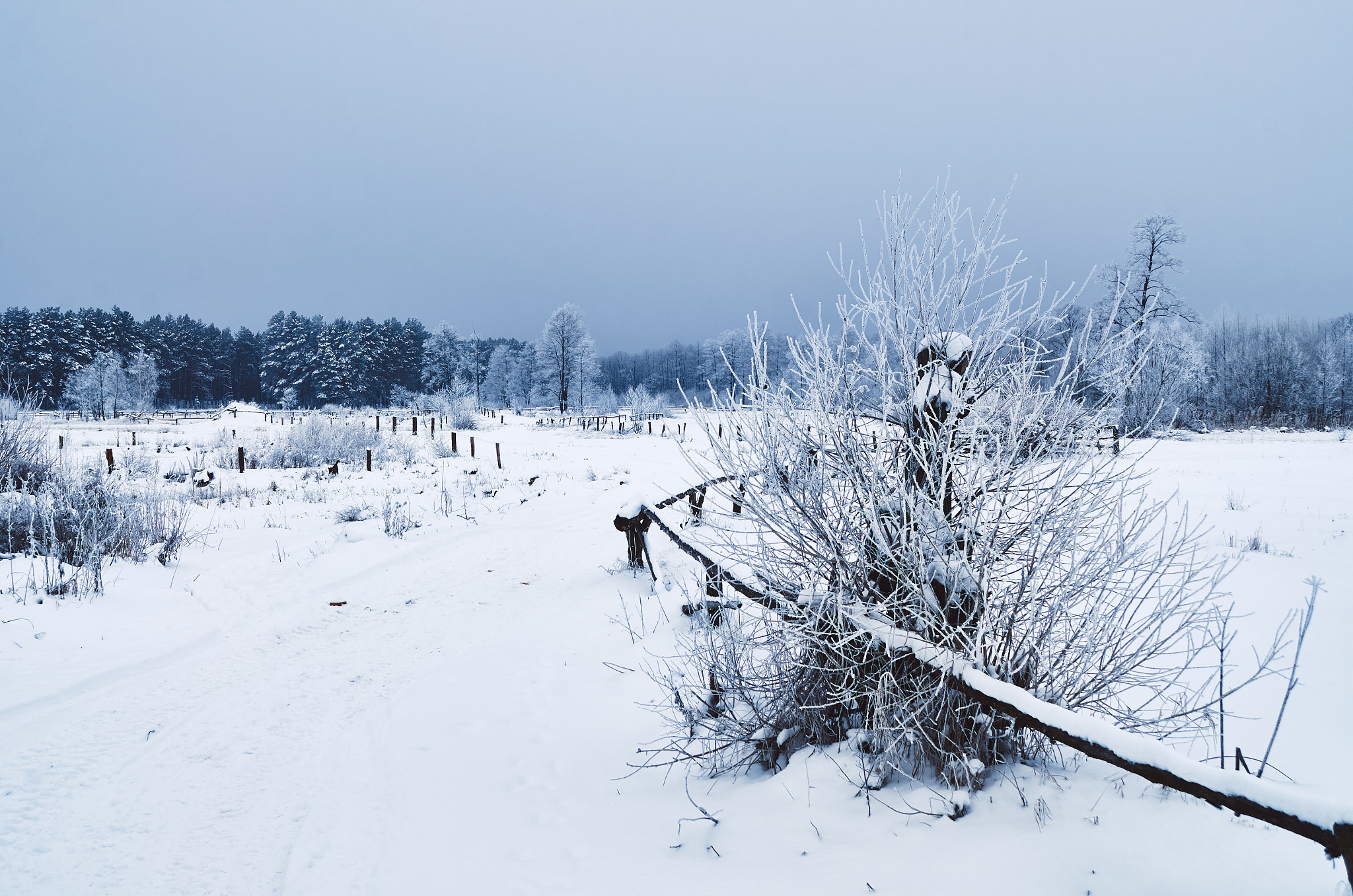 Nikon D7000 sample photo. Winter morning near stokhid river photography