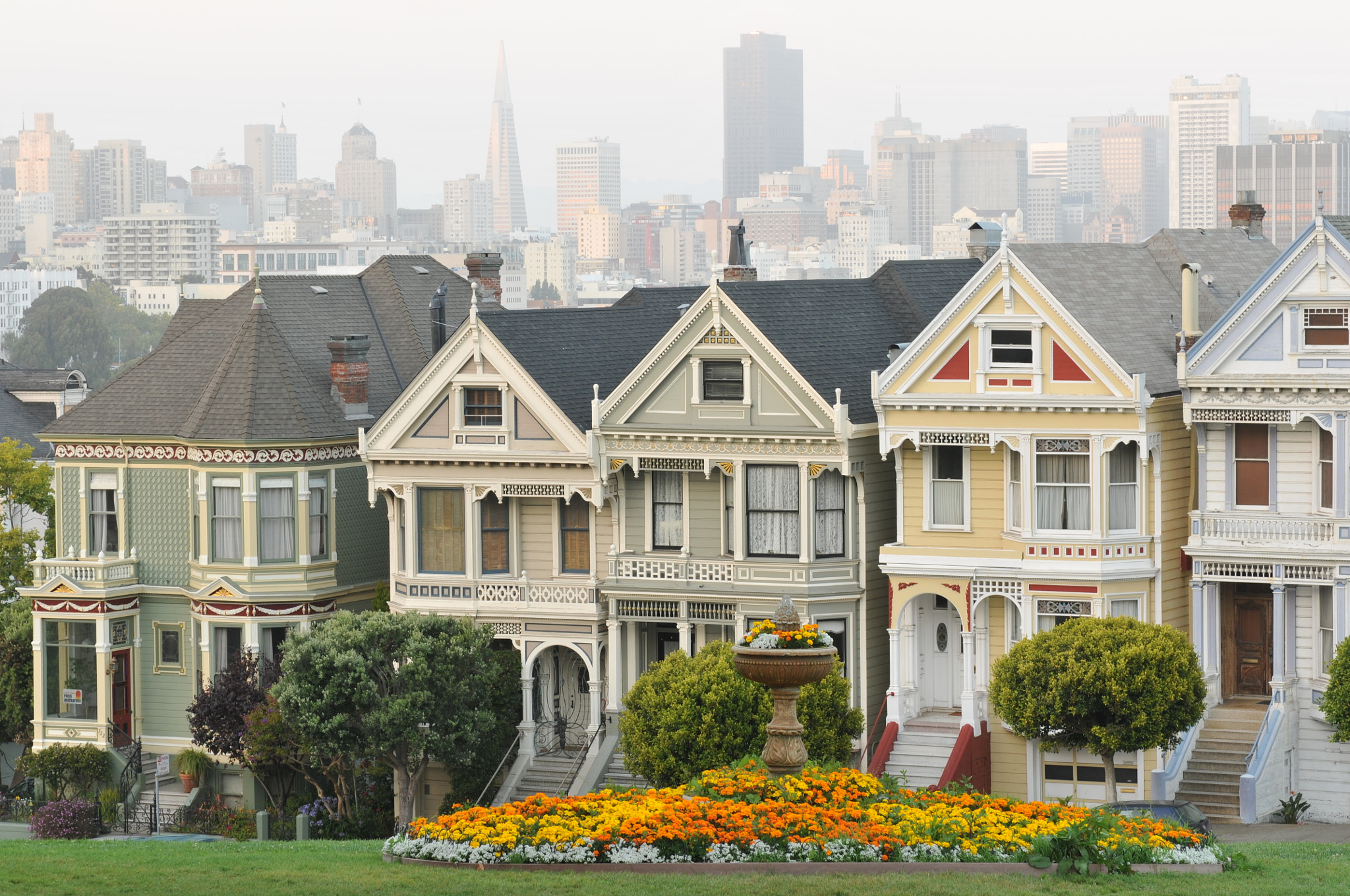 Nikon AF-S Nikkor 24-70mm F2.8G ED sample photo. The painted ladies photography