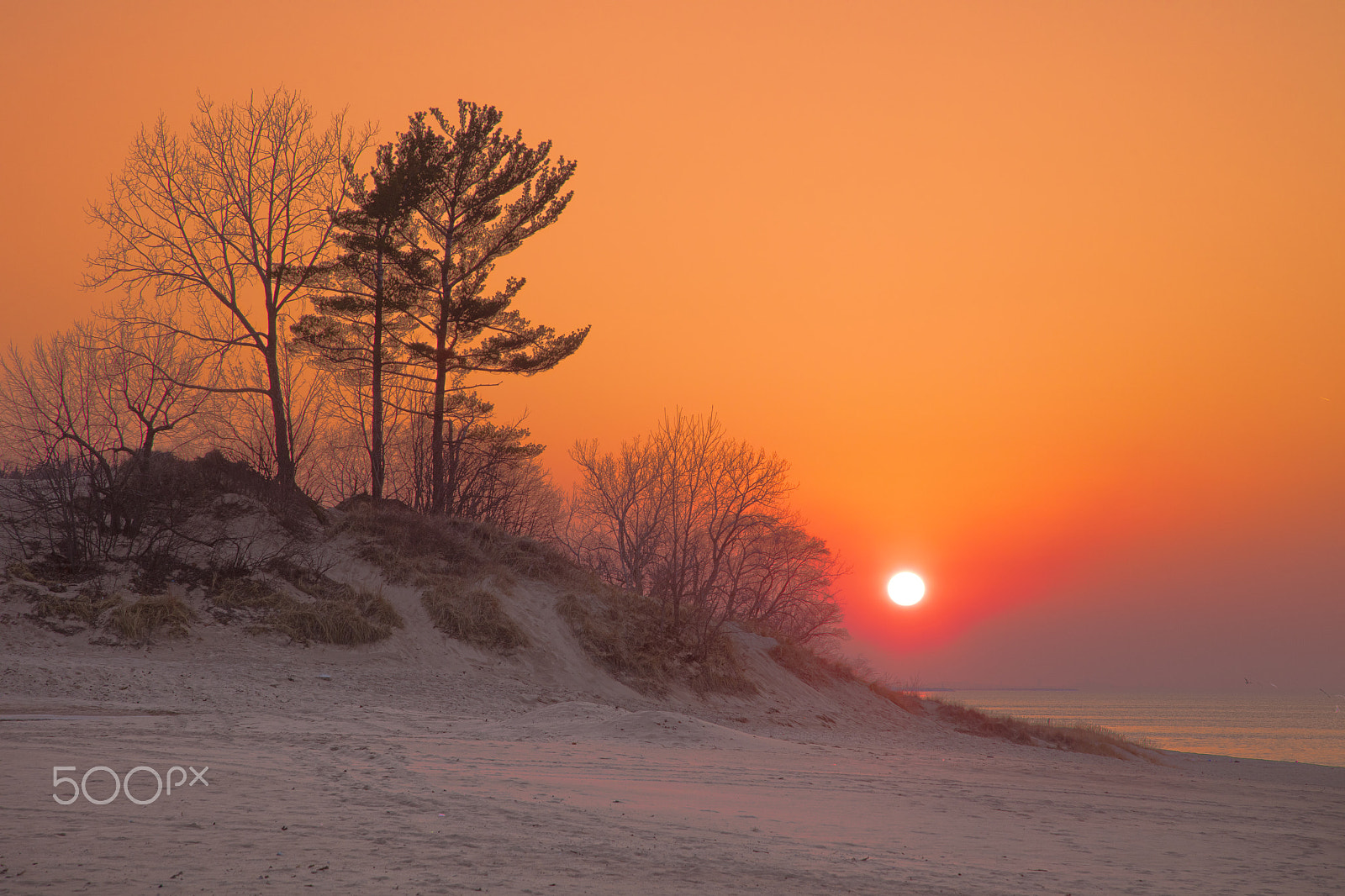 Canon EOS 5DS R sample photo. Dune sunset photography
