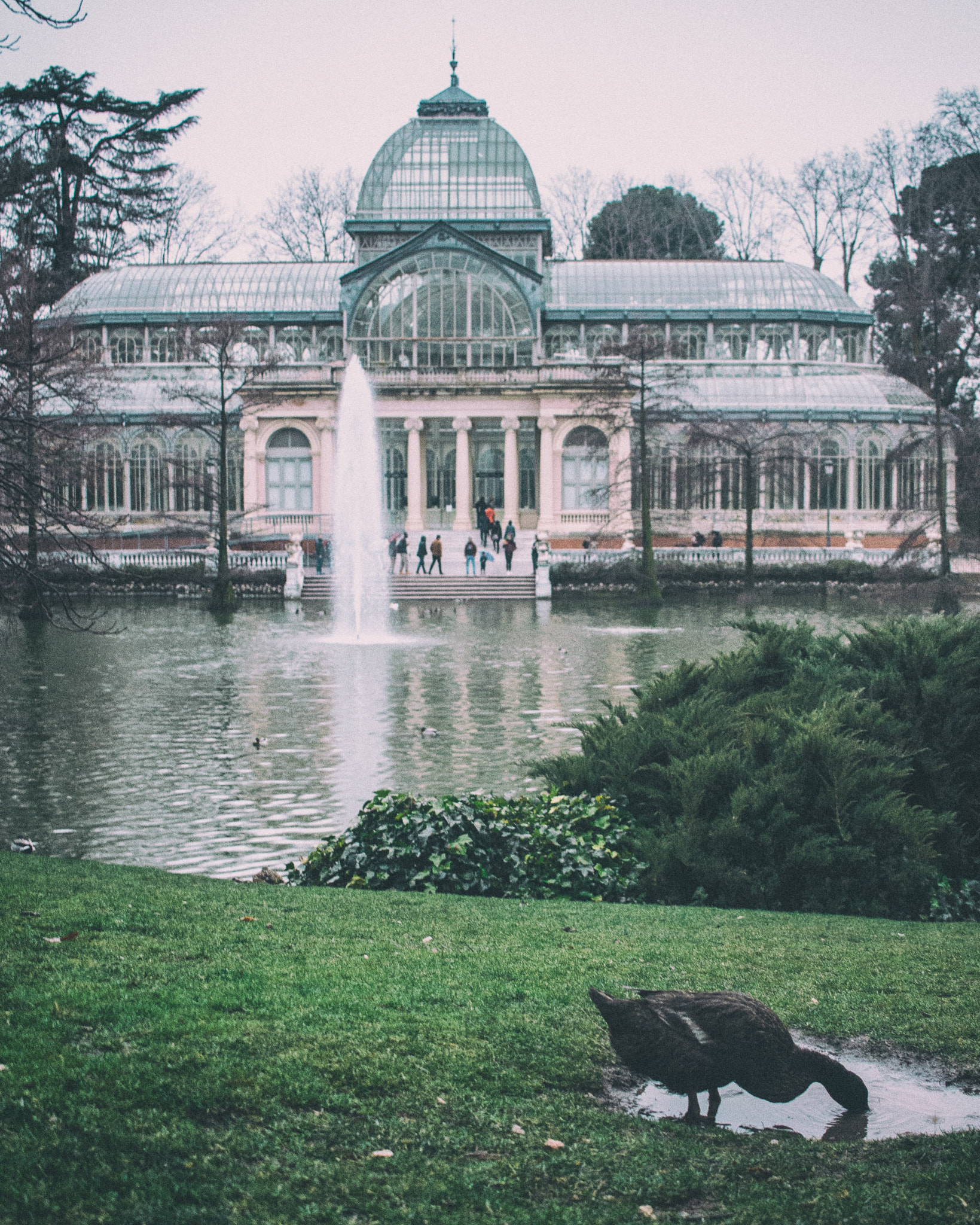 Canon EF-S 24mm F2.8 STM sample photo. Palacio de cristal photography