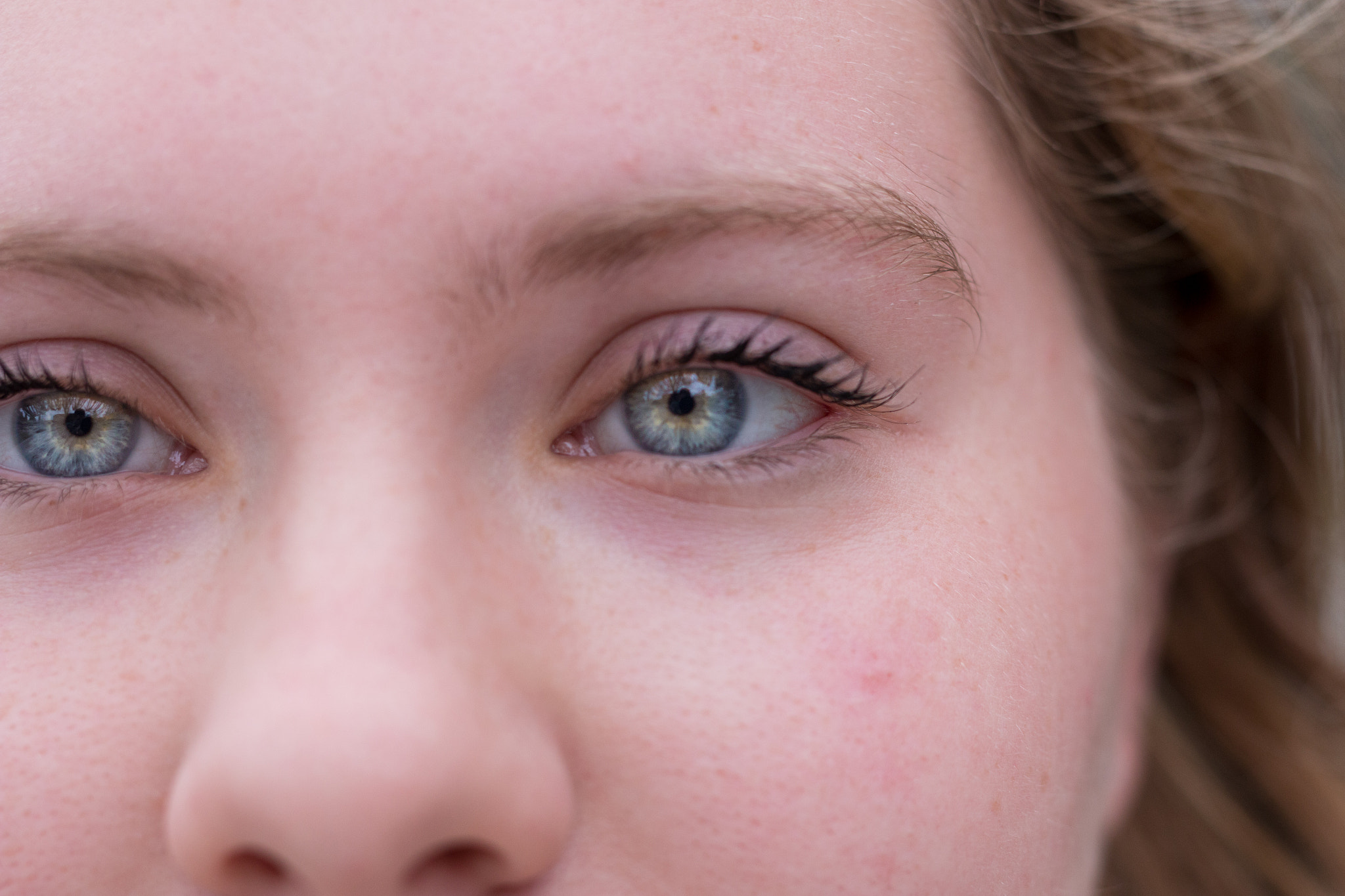Sigma 50mm F1.4 EX DG HSM sample photo. Bright eyes photography