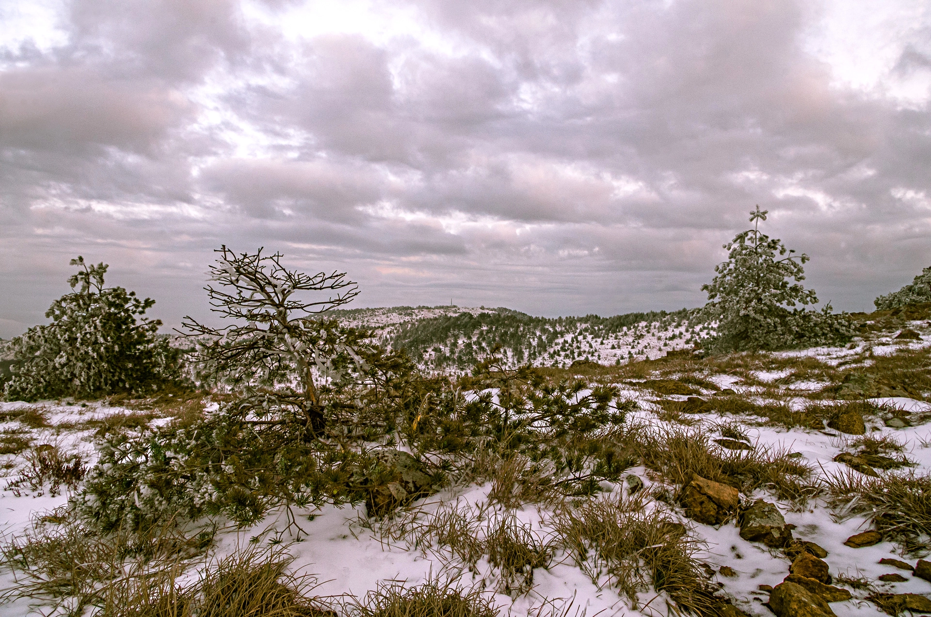 Pentax K-500 sample photo. Ligurian winter photography