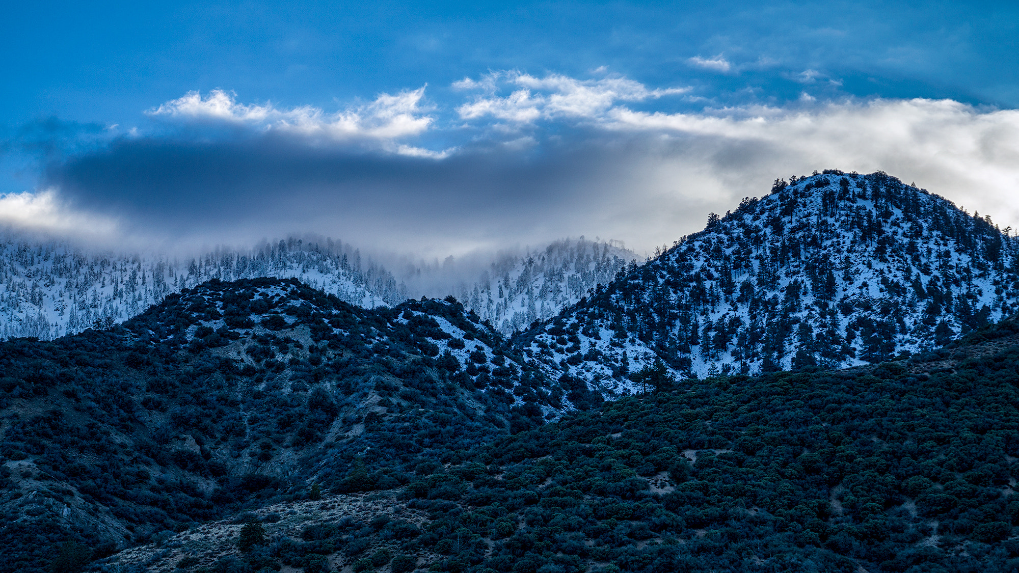 Sony Vario Tessar T* FE 24-70mm F4 ZA OSS sample photo. Drifiting by the tops photography