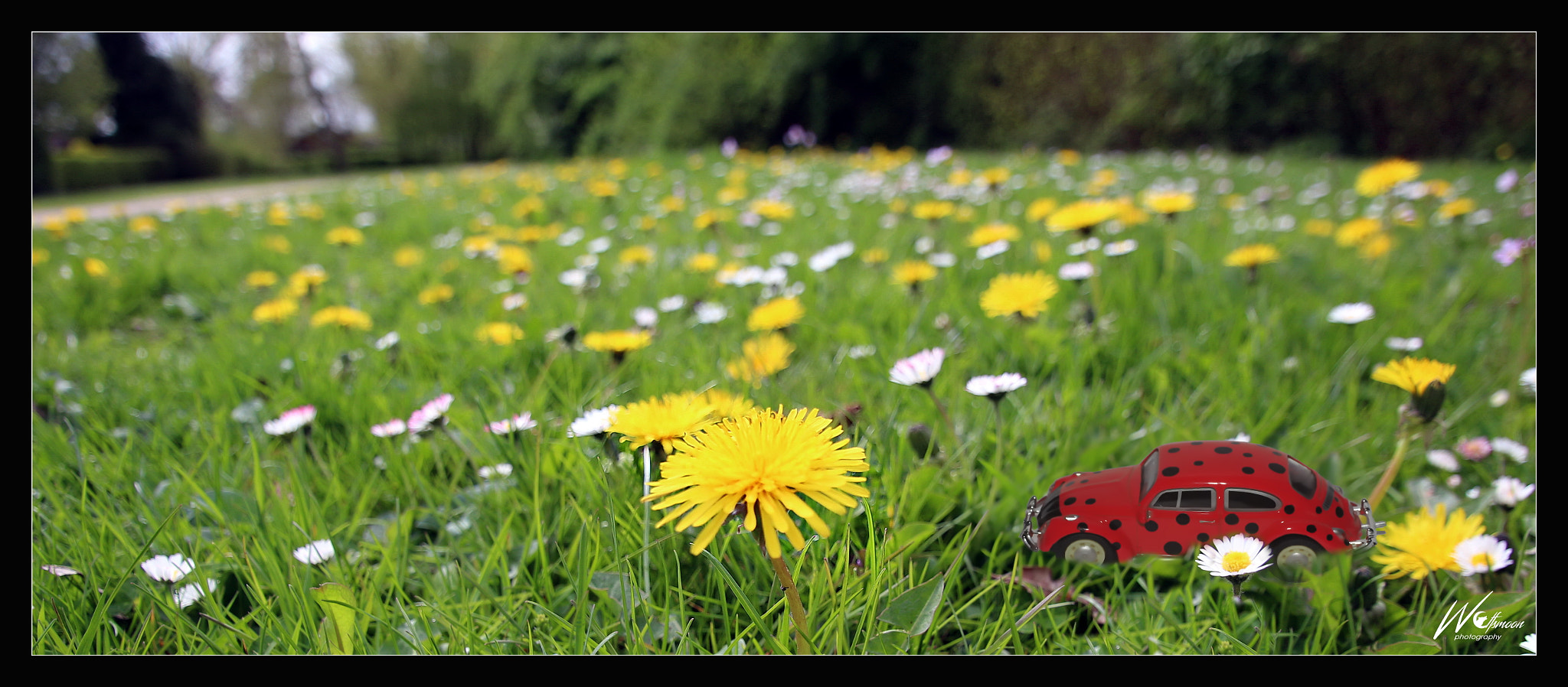 Canon EOS 650D (EOS Rebel T4i / EOS Kiss X6i) sample photo. Sunny weekend photography