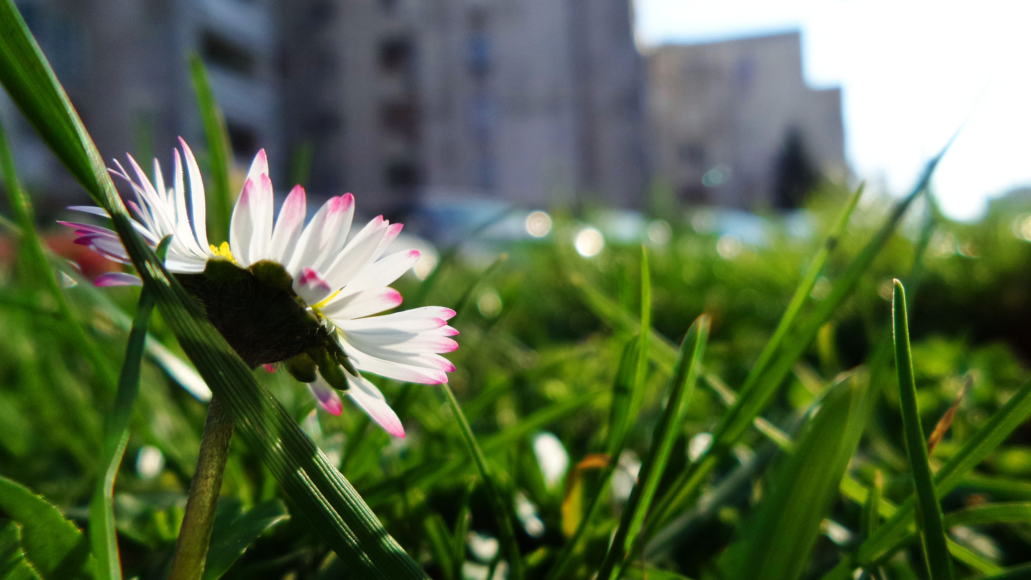 Samsung Galaxy K Zoom sample photo. 20160302_154937.jpg photography
