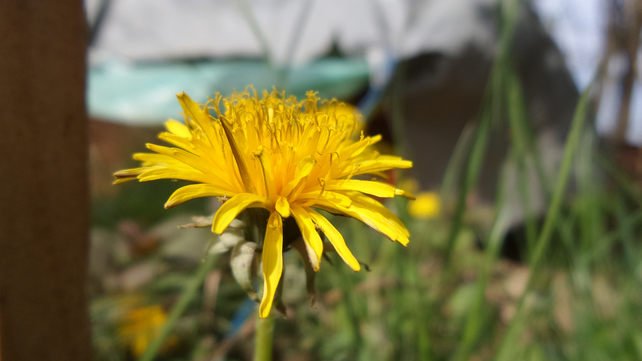 Samsung Galaxy K Zoom sample photo. 20160402_153236.jpg photography