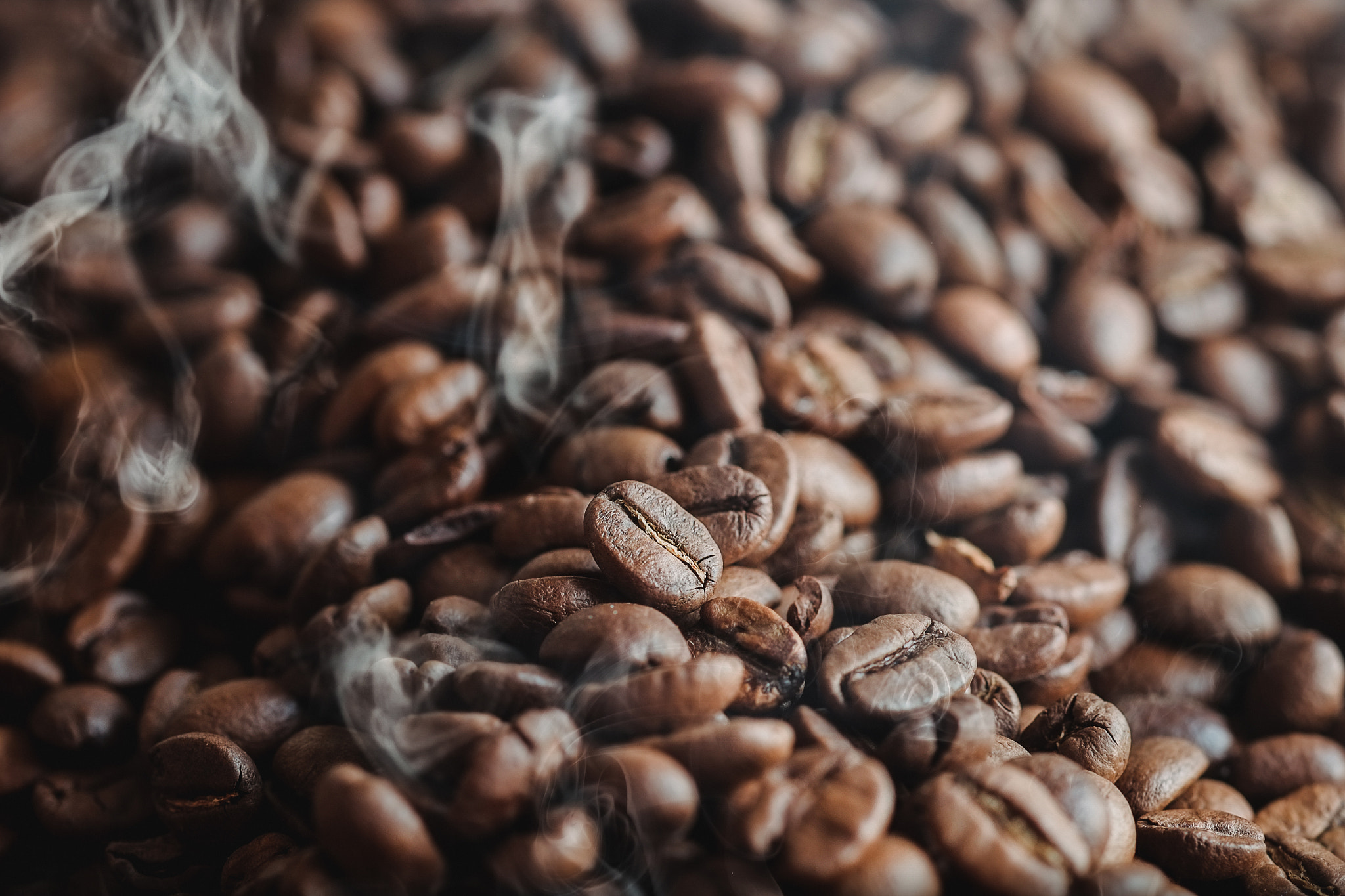 Fujifilm X-E1 + Fujifilm XF 60mm F2.4 R Macro sample photo. Coffee time photography