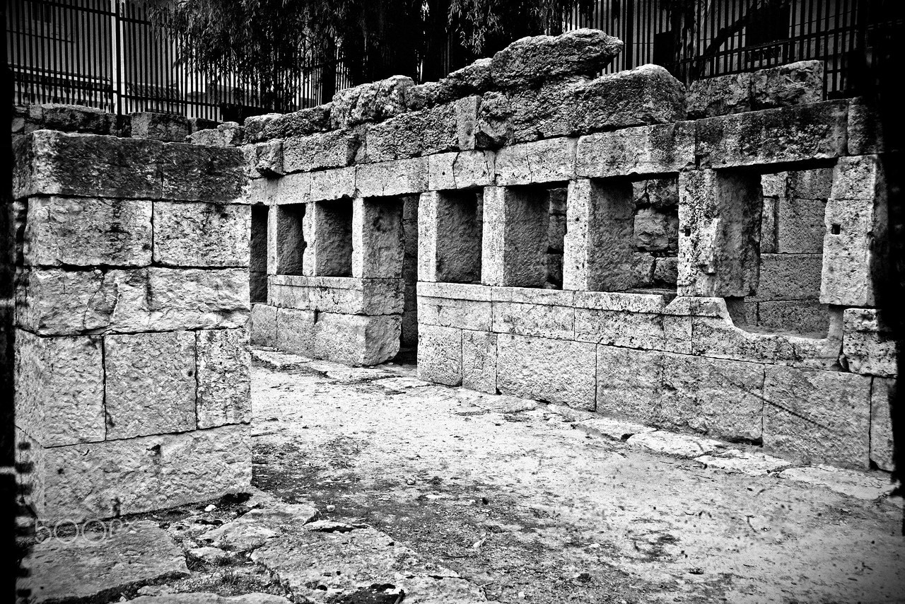 Nikon D800E + AF Zoom-Nikkor 24-120mm f/3.5-5.6D IF sample photo. Basilique romaine, les haras des chevaux photography