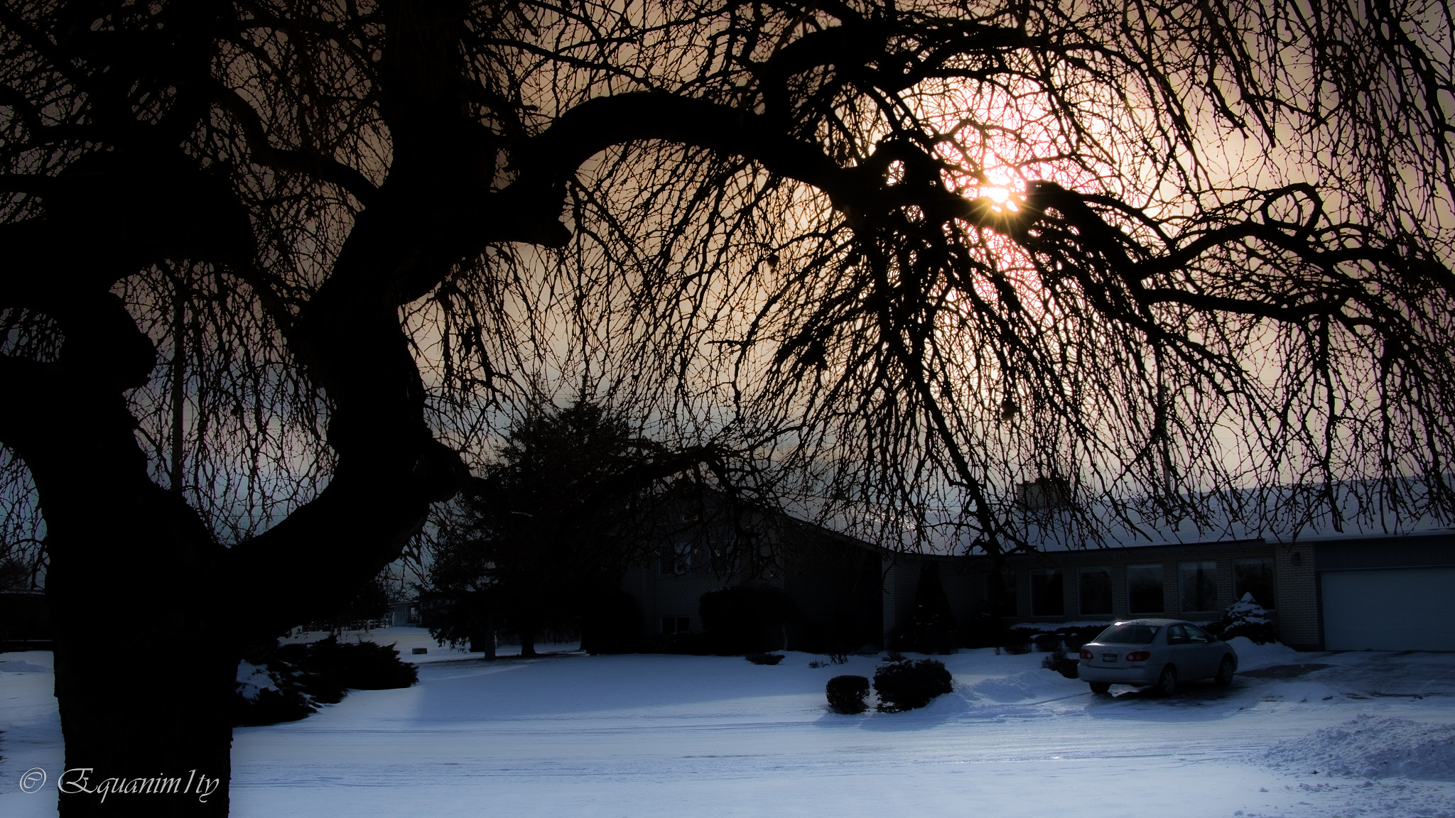 Canon EOS 750D (EOS Rebel T6i / EOS Kiss X8i) sample photo. Idaho morning during a winter day photography