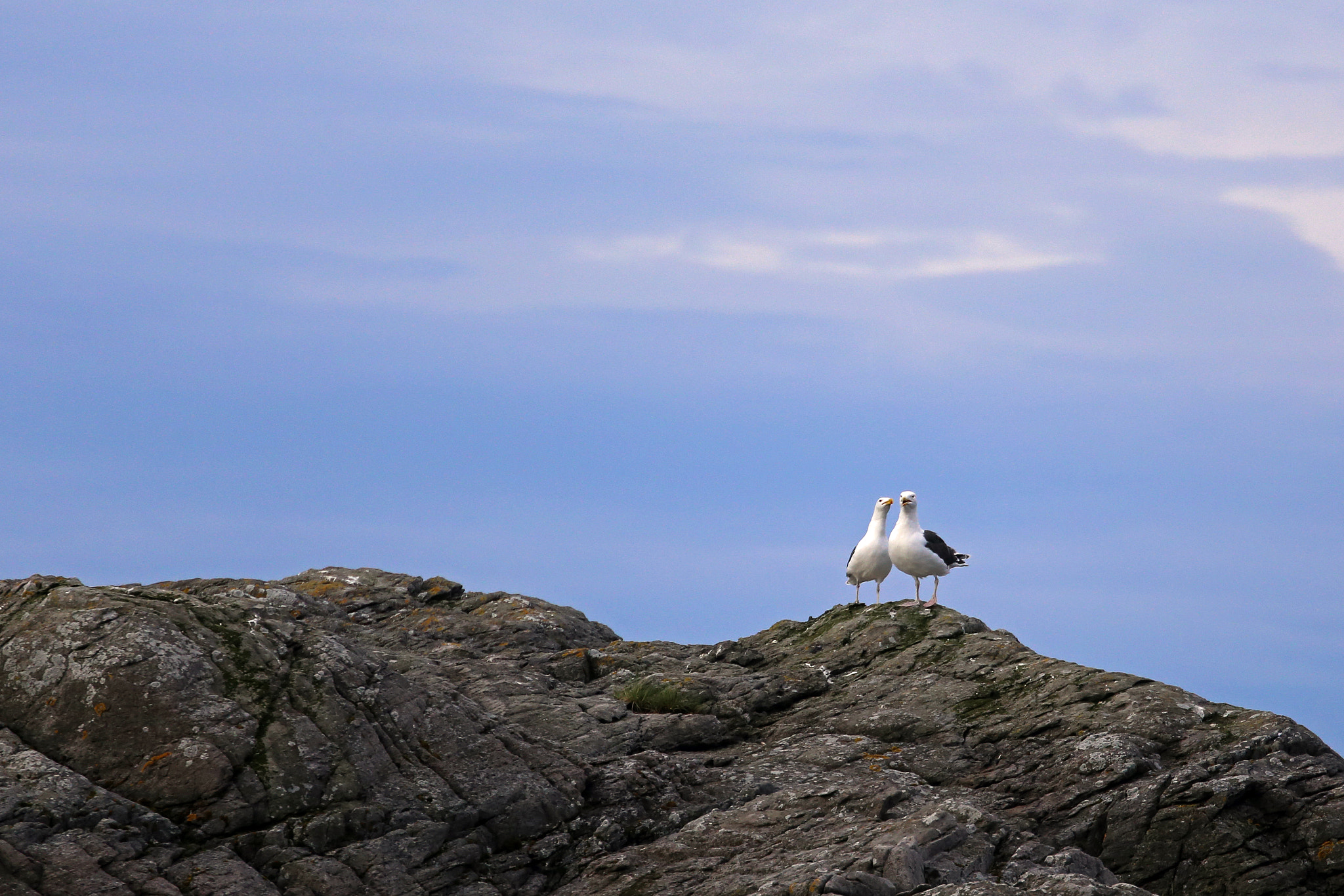 Canon EOS 6D + Canon EF 70-300mm F4.5-5.6 DO IS USM sample photo. A couple photography