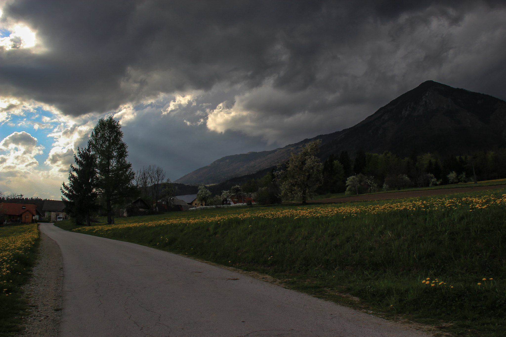 Canon EOS 550D (EOS Rebel T2i / EOS Kiss X4) sample photo. Thunderstorm is comming photography