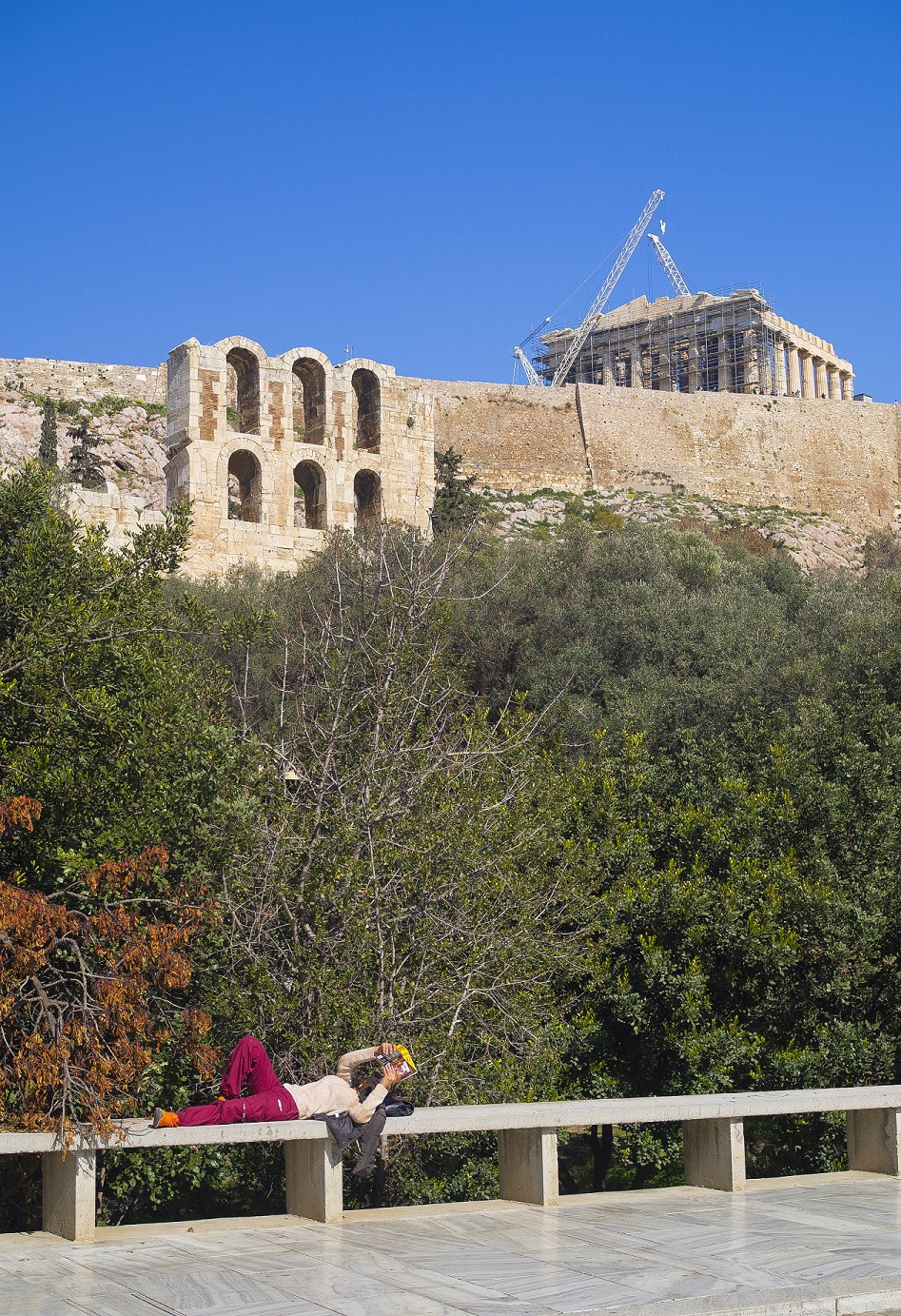 Olympus OM-D E-M10 II sample photo. Reading under the parthenon photography