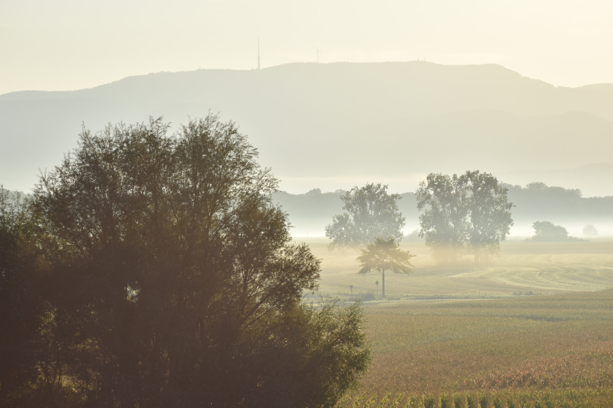 Nikon D7200 sample photo. Silence photography