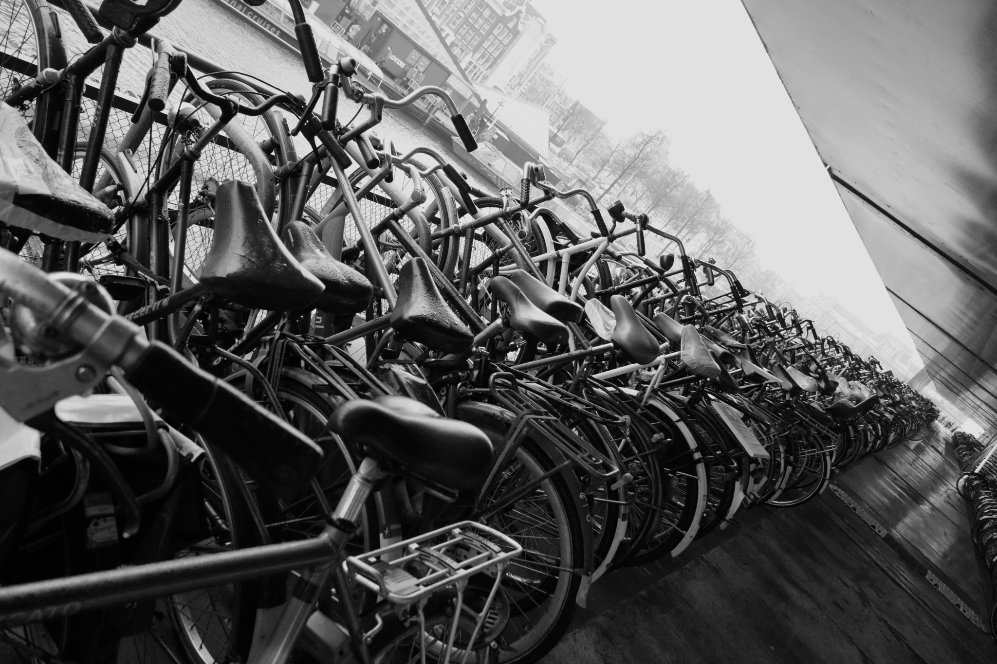 Canon EOS 750D (EOS Rebel T6i / EOS Kiss X8i) sample photo. The bicycles at amsterdam centraal station photography