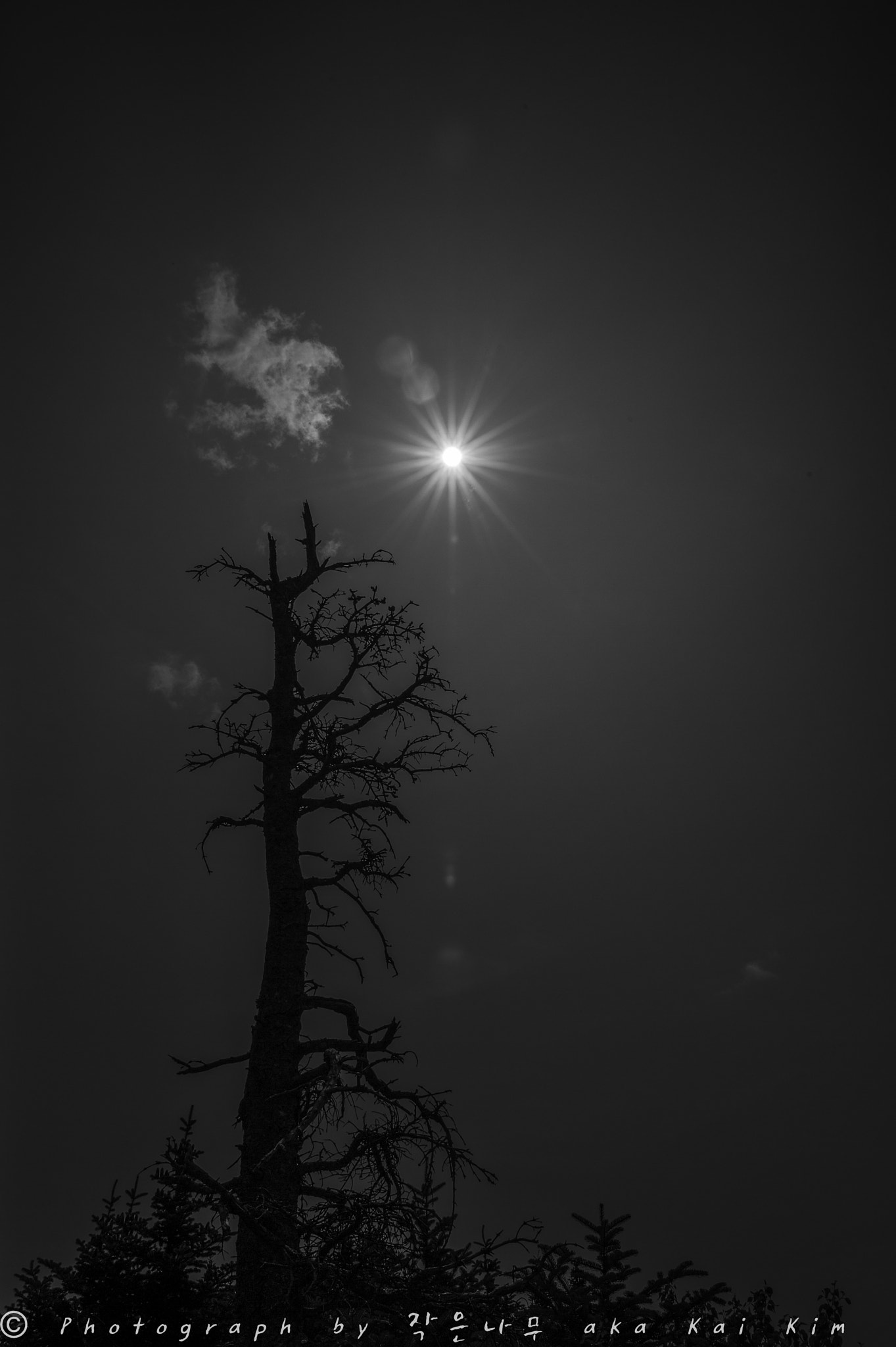 Nikon Df sample photo. Under the sky... photography