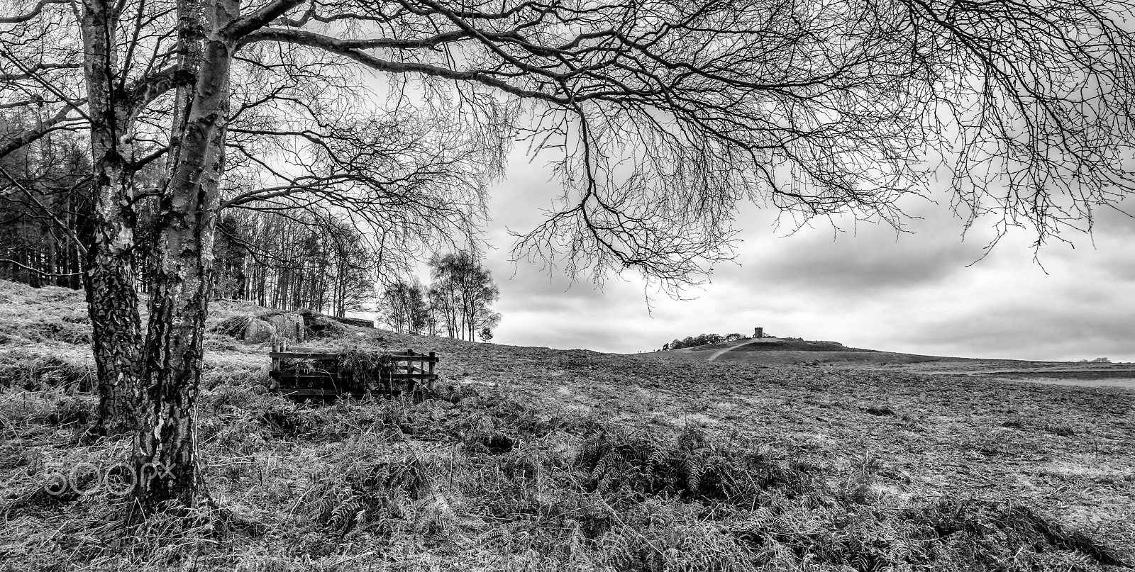 Nikon D810 + Nikon AF-S Nikkor 20mm F1.8G ED sample photo. Distant folly photography