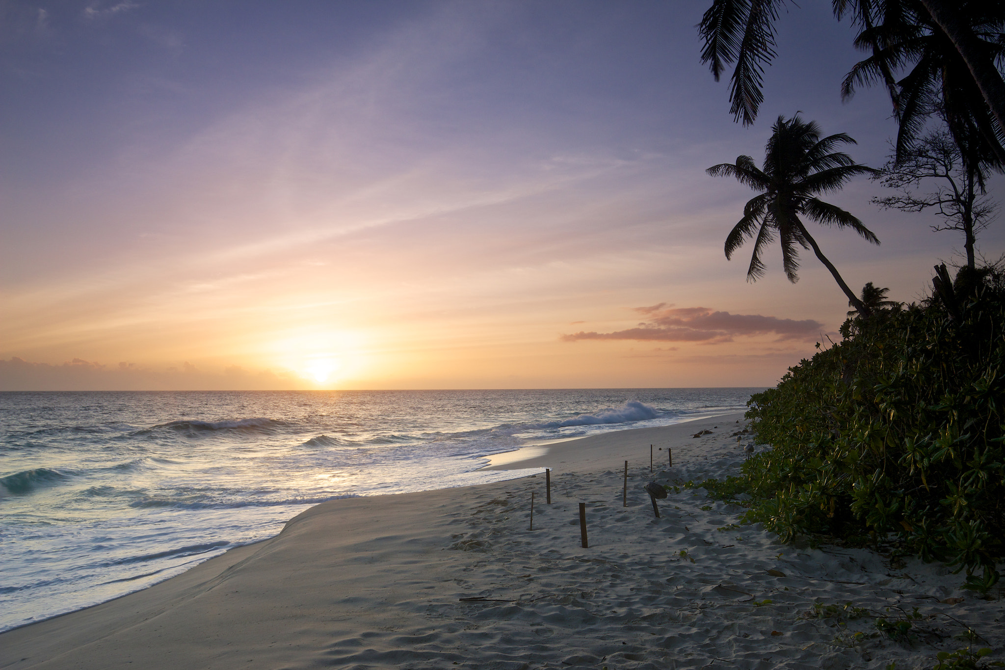 Canon EOS 70D + Canon EF 17-40mm F4L USM sample photo. West beach sunset photography