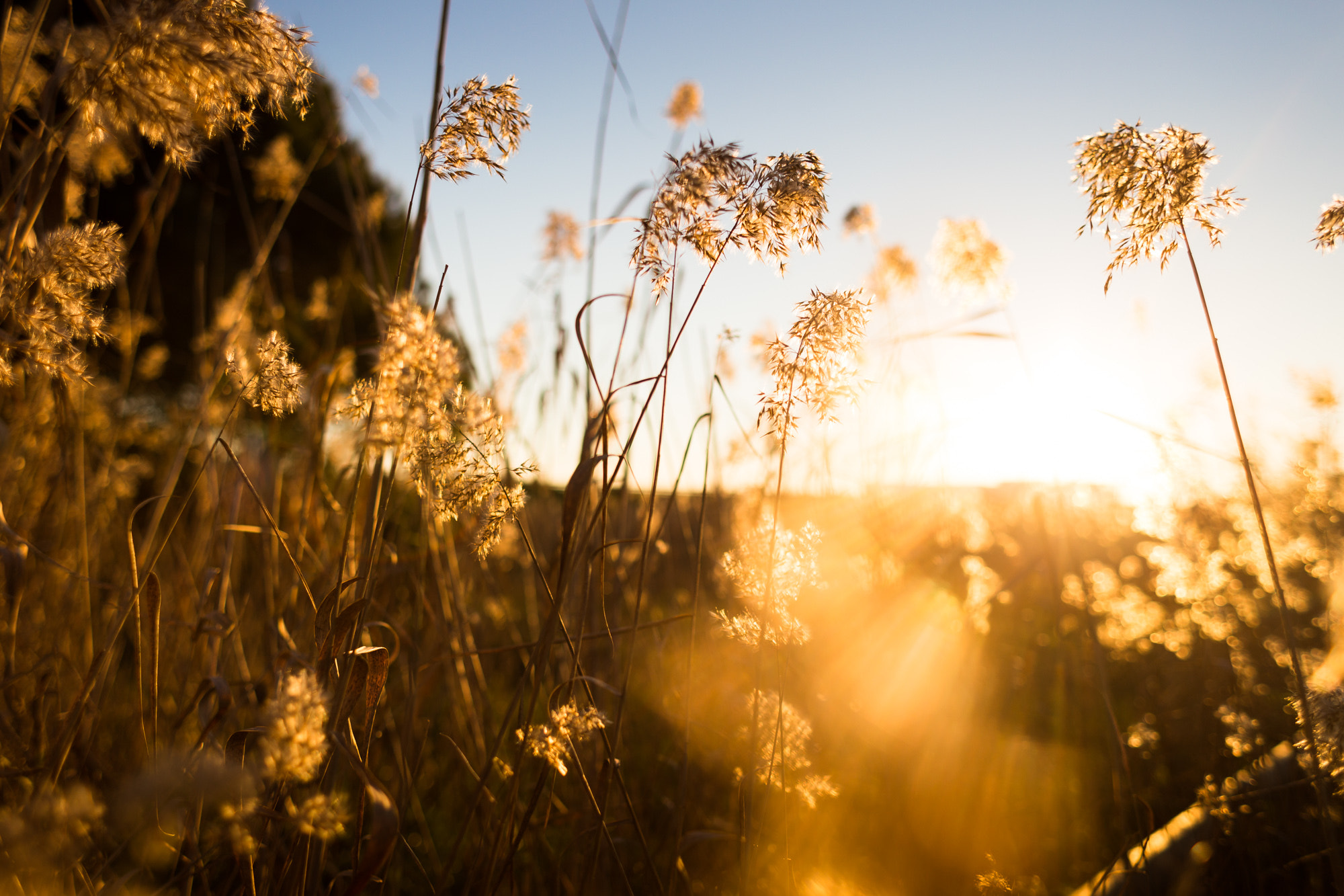 Canon EOS 6D + Canon EF 28mm F1.8 USM sample photo. Sunshine photography