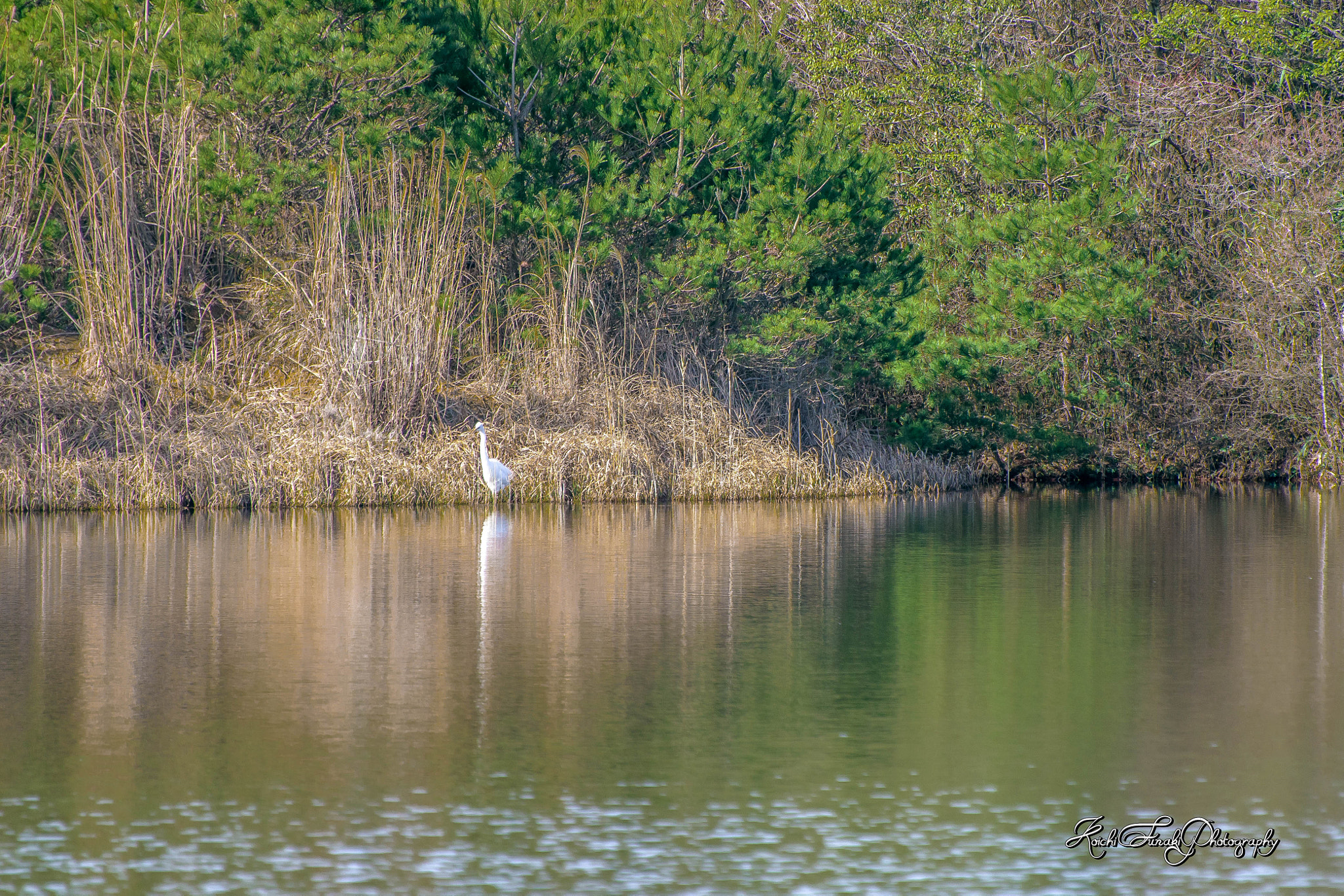 Nikon D810 sample photo. Standing on the lakeside photography