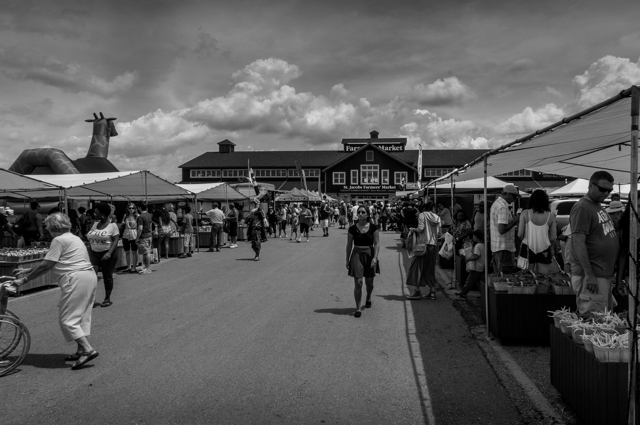 Sony Alpha NEX-6 sample photo. Walking in the market photography