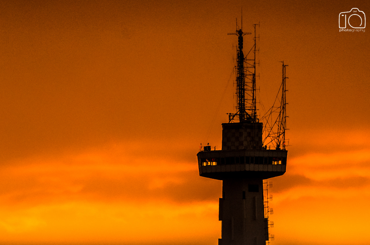 Sigma 150-600mm F5-6.3 DG OS HSM | C sample photo