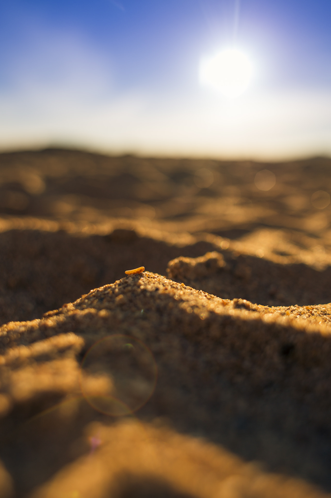 Canon EOS 6D sample photo. Mini sand dunes photography