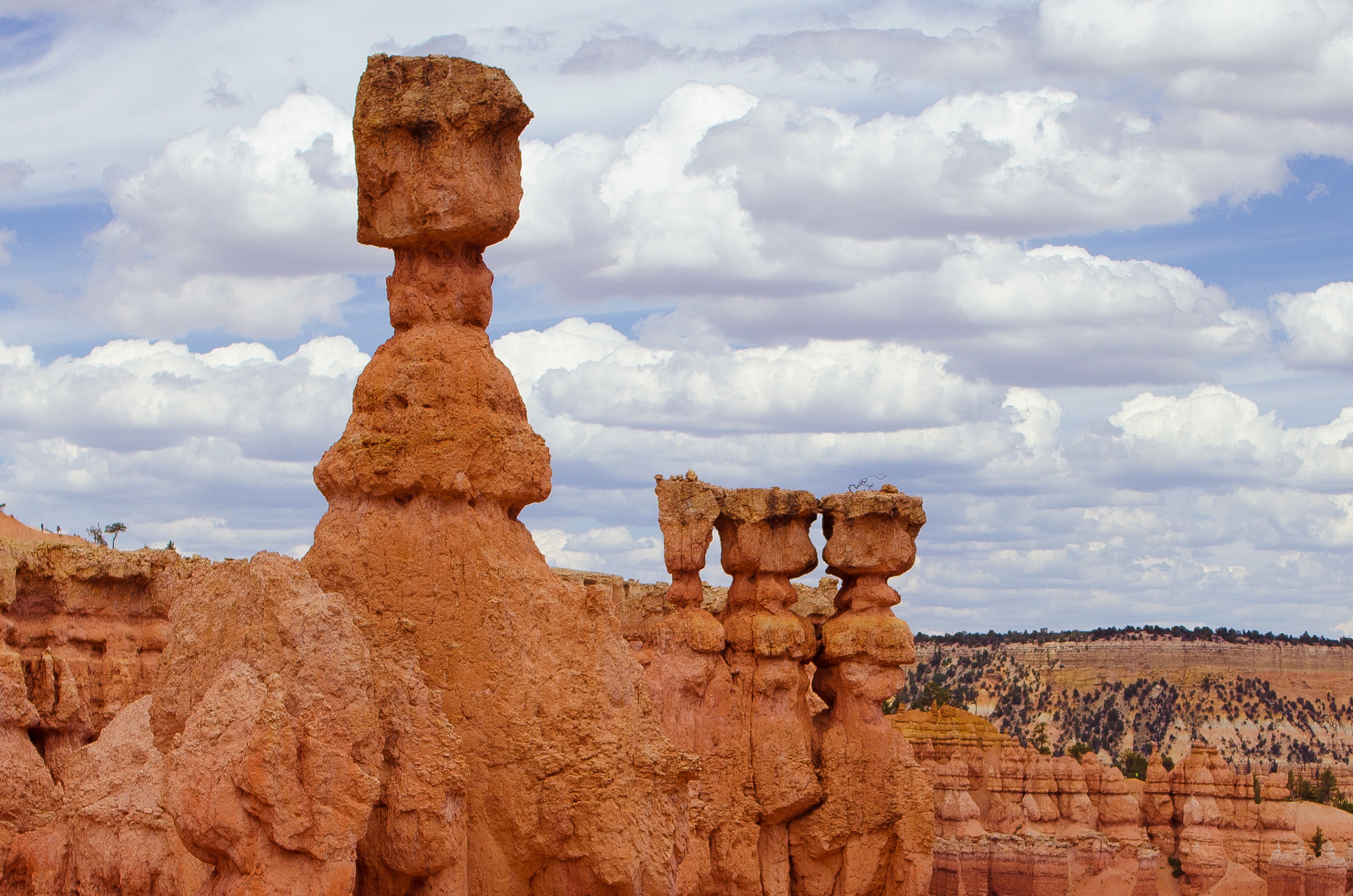 Nikon D5100 + Nikon AF-S Nikkor 28mm F1.8G sample photo. Thor's hammer in bryce canyon photography