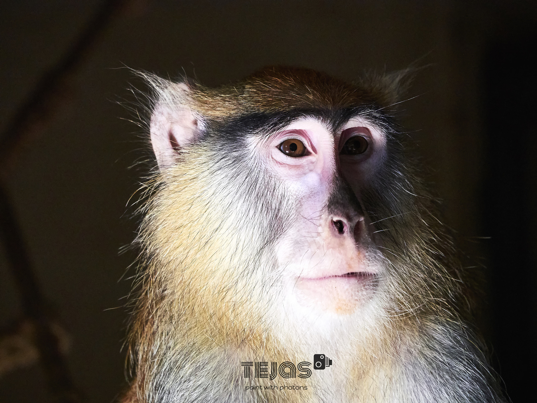 LUMIX G VARIO 35-100/F4.0-5.6 sample photo. Monk photography