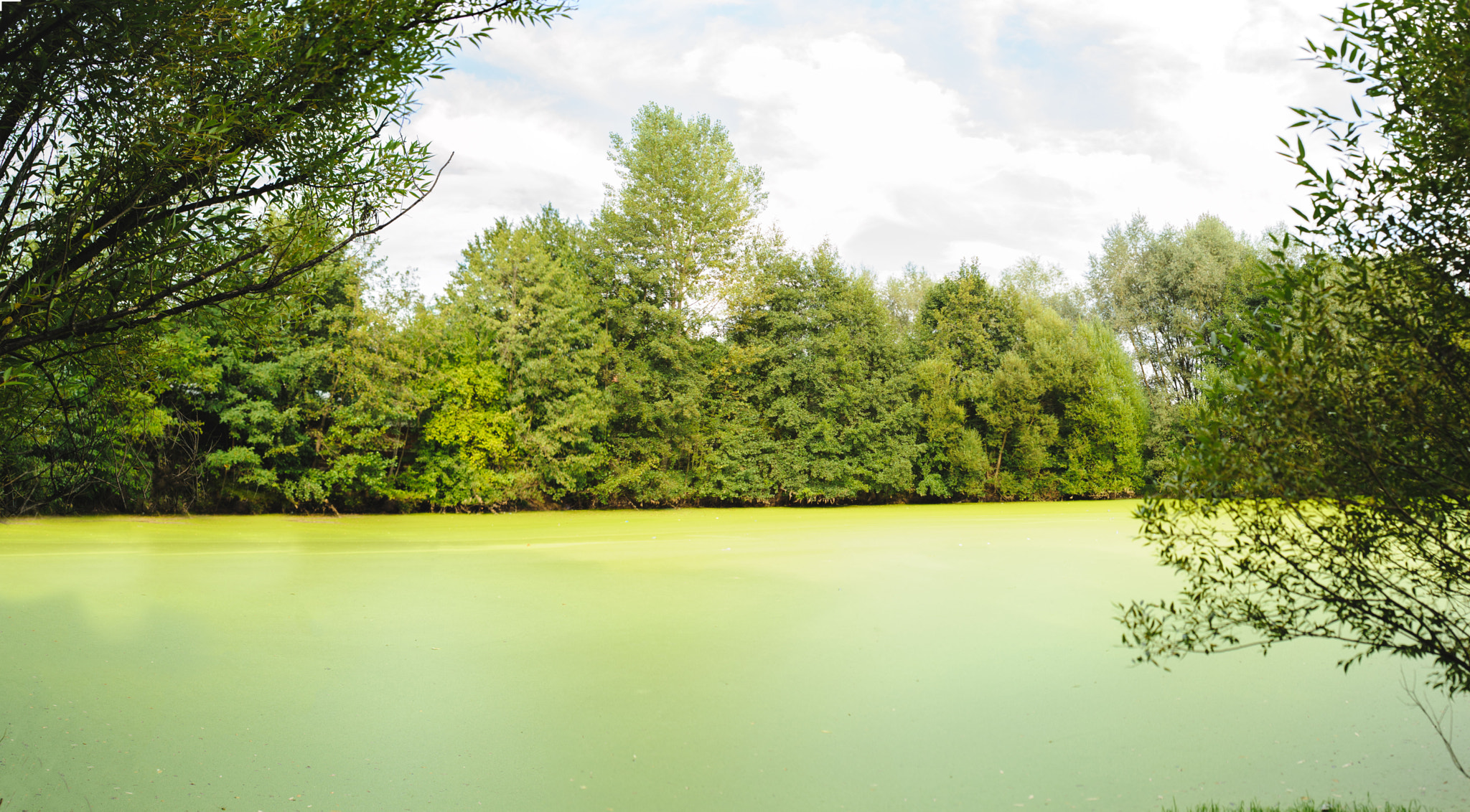 Nikon D700 + Sigma 35mm F1.4 DG HSM Art sample photo. Green lake ii photography