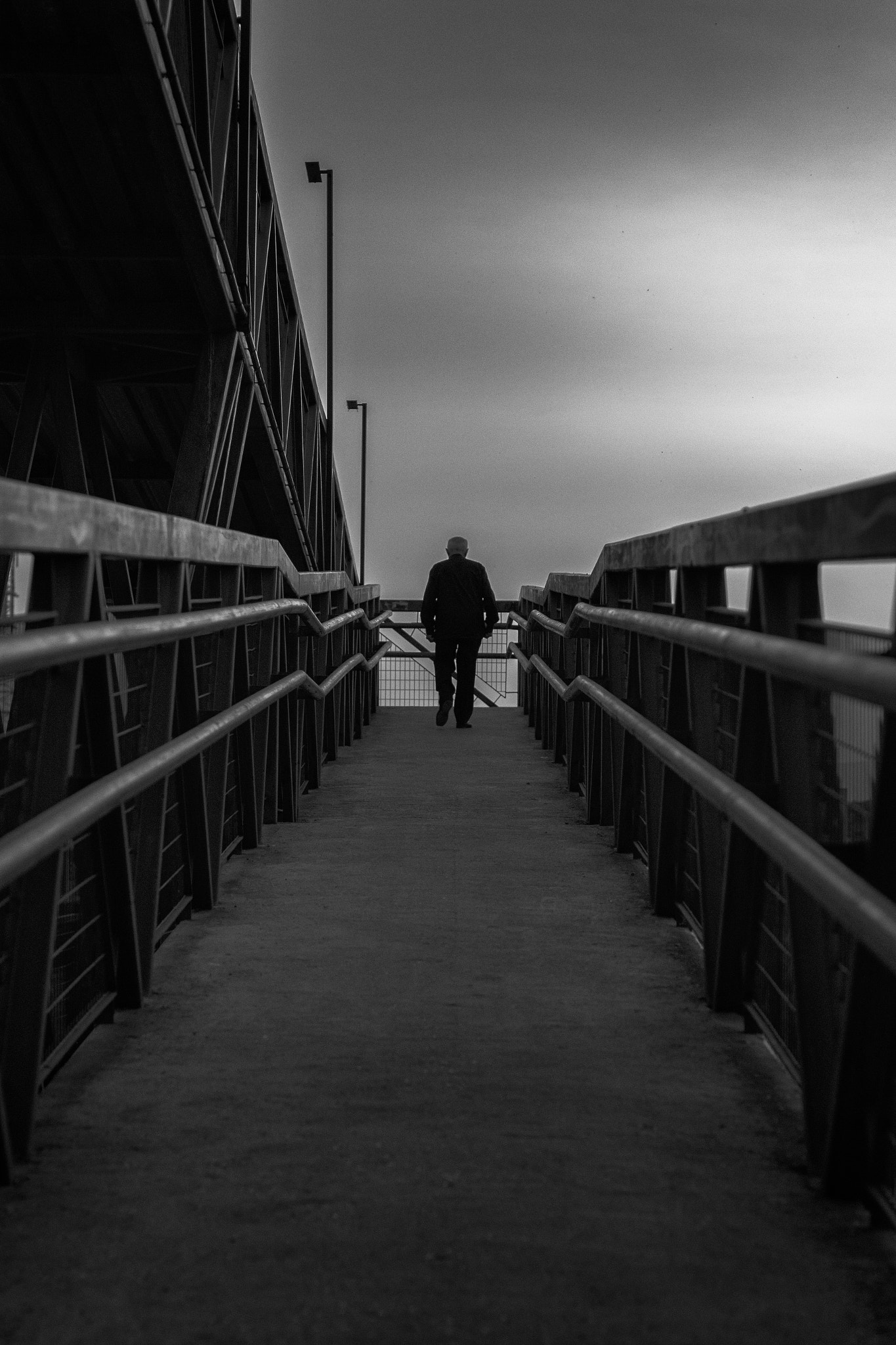 Canon EF 50mm F1.4 USM sample photo. Crossing the bridge photography