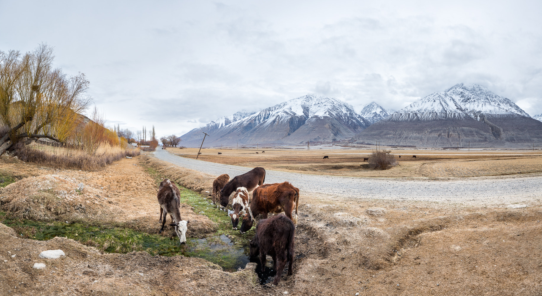 Canon EOS-1D X + Canon TS-E 24.0mm f/3.5 L II sample photo. Rural scene in the wakhan valley photography