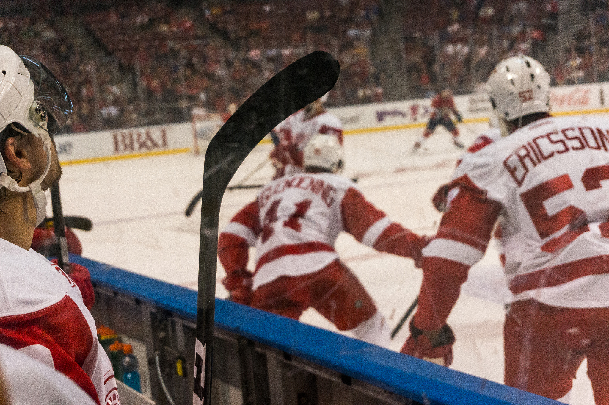 Sony Alpha NEX-6 sample photo. Red wings from the bench photography
