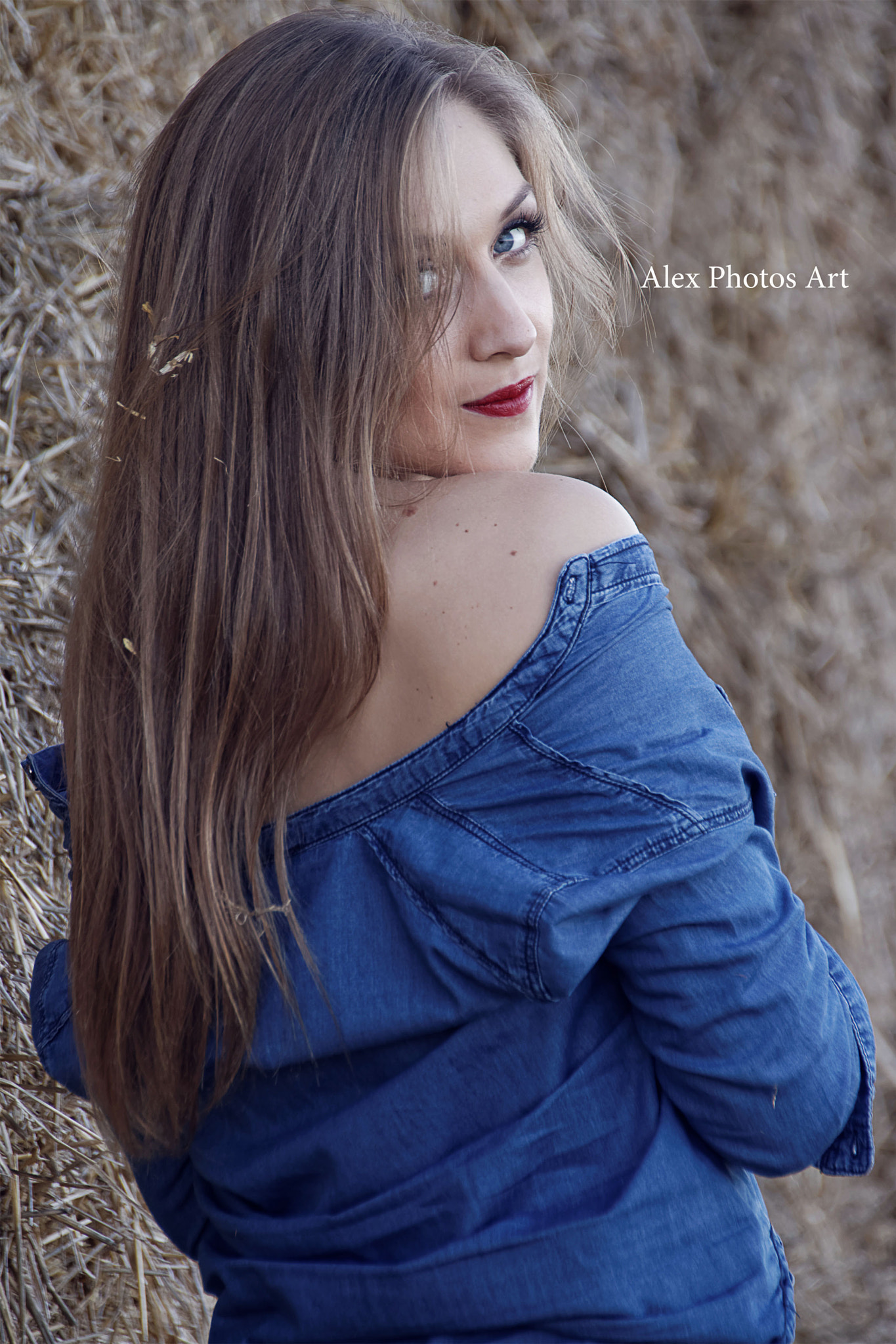 Sigma 18-250mm F3.5-6.3 DC OS HSM sample photo. Johanna photography