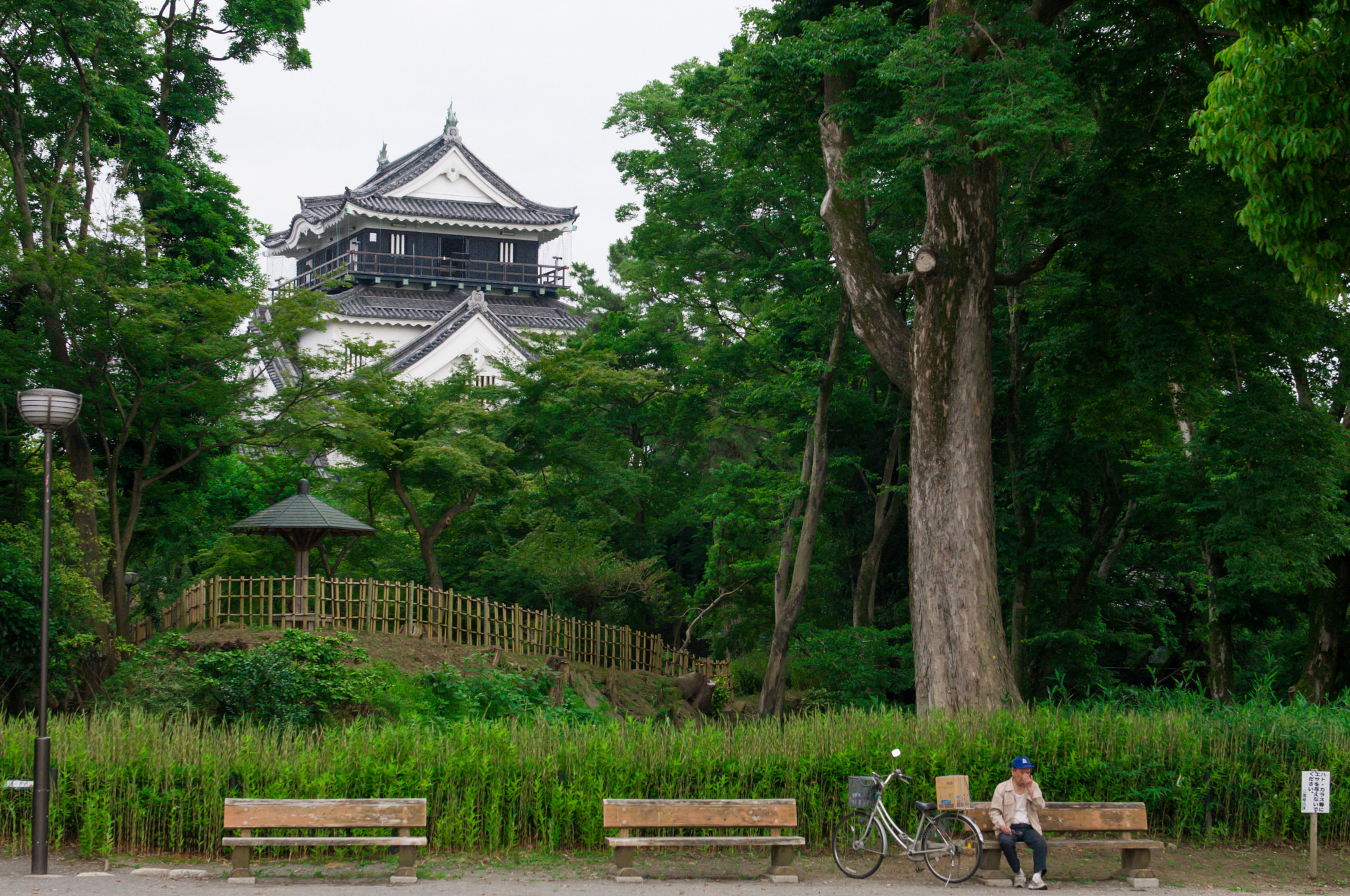 Nikon AF-S Nikkor 24-70mm F2.8G ED sample photo. Okazaki castle in japan. photography
