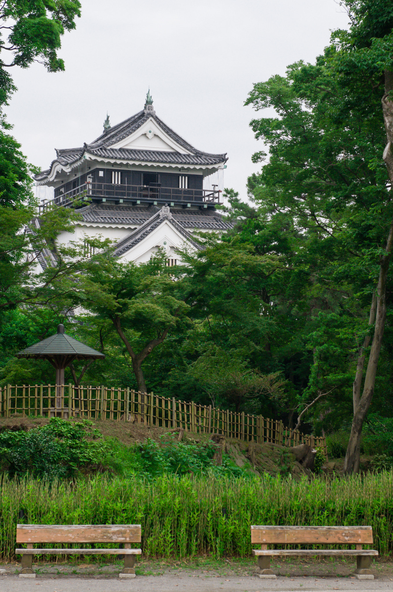 Nikon AF-S Nikkor 24-70mm F2.8G ED sample photo. Okazaki castle.japan photography