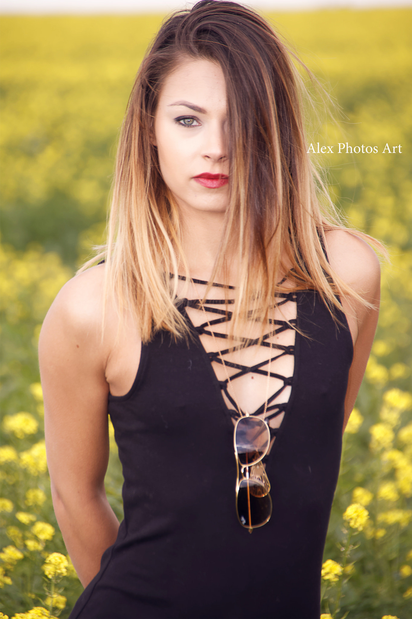 Sigma 18-250mm F3.5-6.3 DC OS HSM sample photo. Melodie photography
