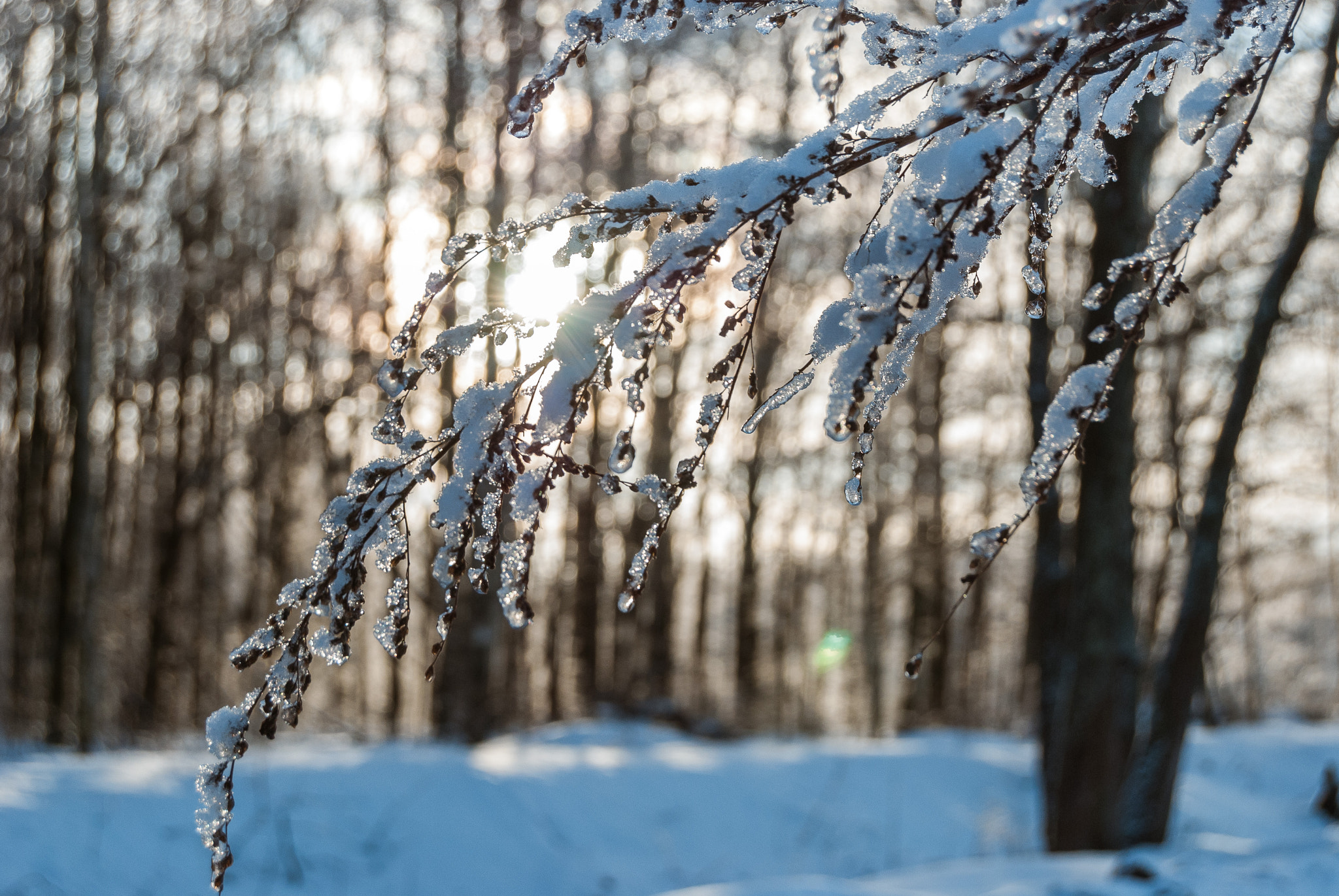 Nikon D80 sample photo. Russian winter photography