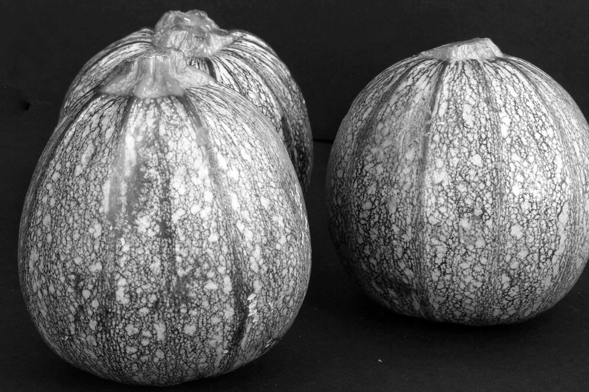 Canon EF-S 60mm F2.8 Macro USM sample photo. Acorn courgette closeup photography