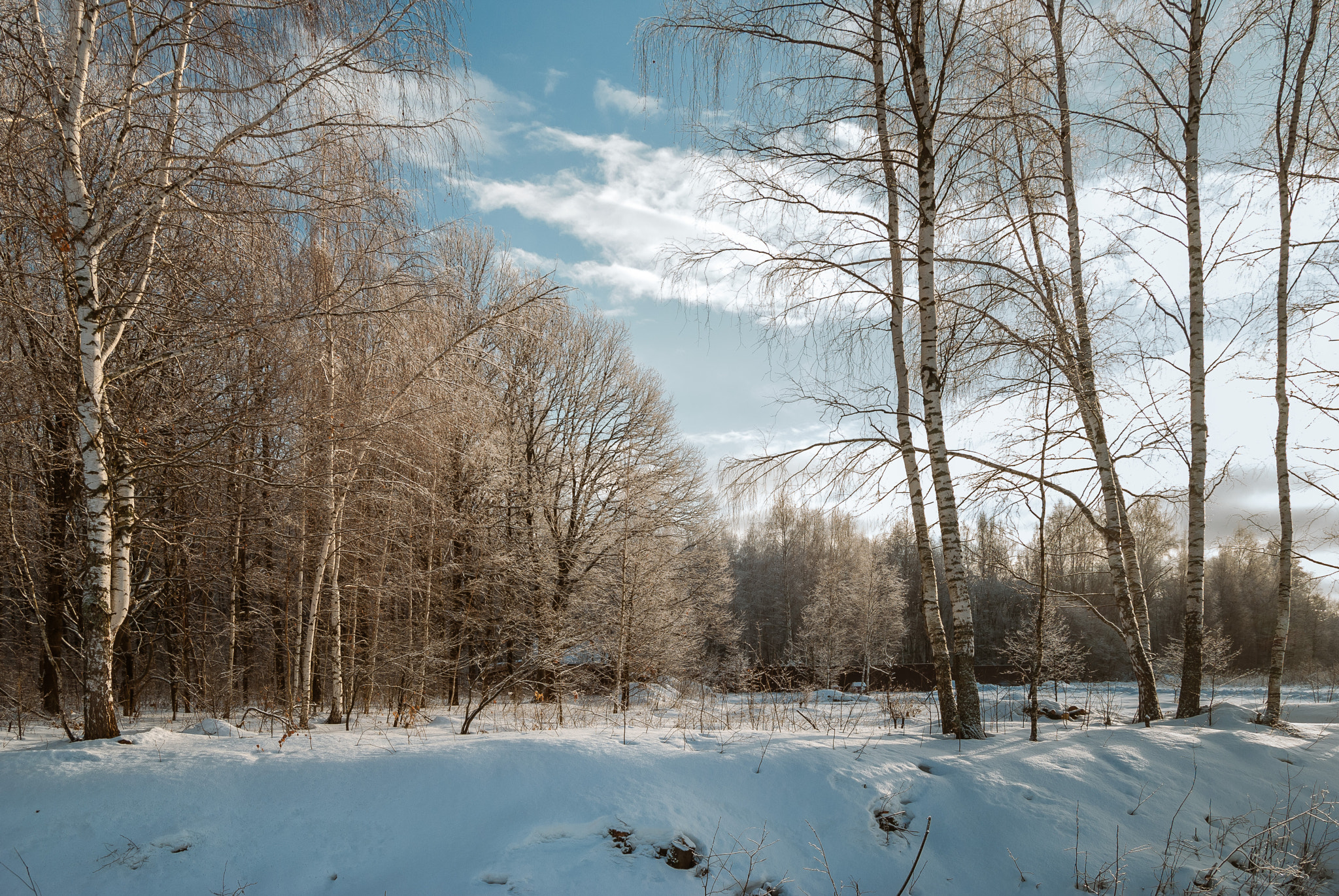 Nikon D80 sample photo. Russian winter photography