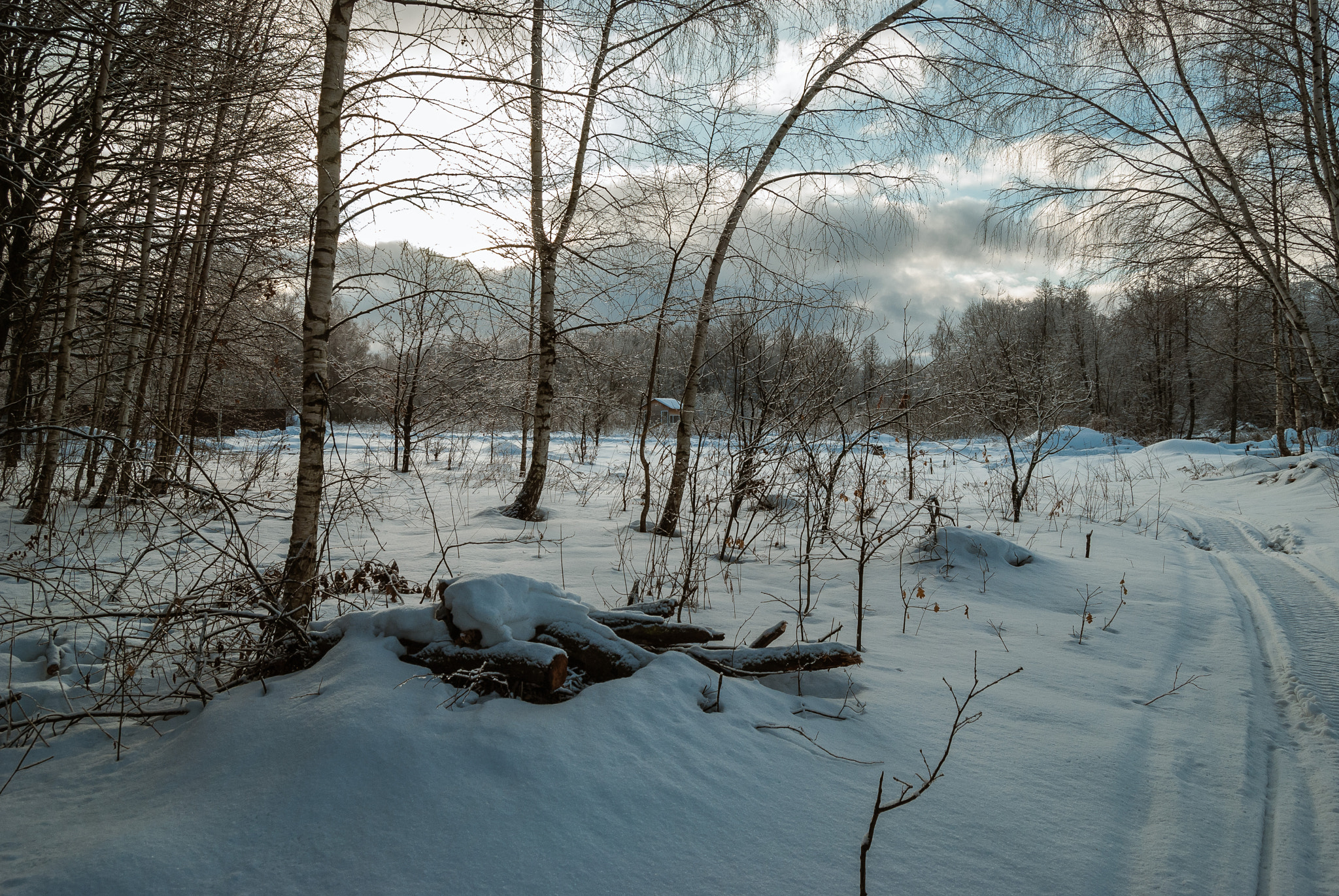 Nikon D80 sample photo. Russian winter photography