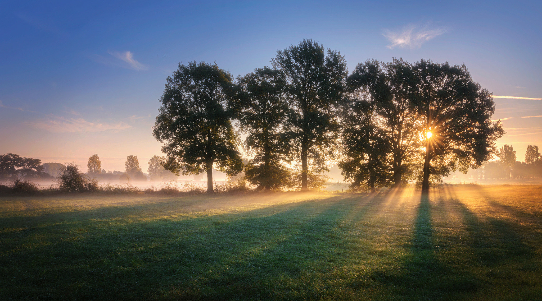 Nikon AF-S Nikkor 14-24mm F2.8G ED sample photo. Morning sonata photography