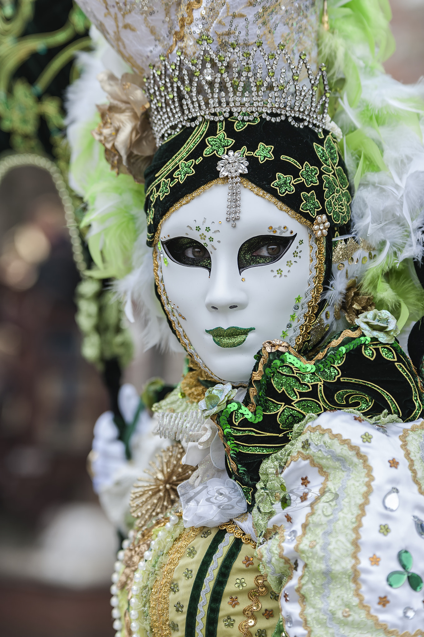 Nikon D700 + Sigma 70-200mm F2.8 EX DG OS HSM sample photo. " carnaval a venise " photography