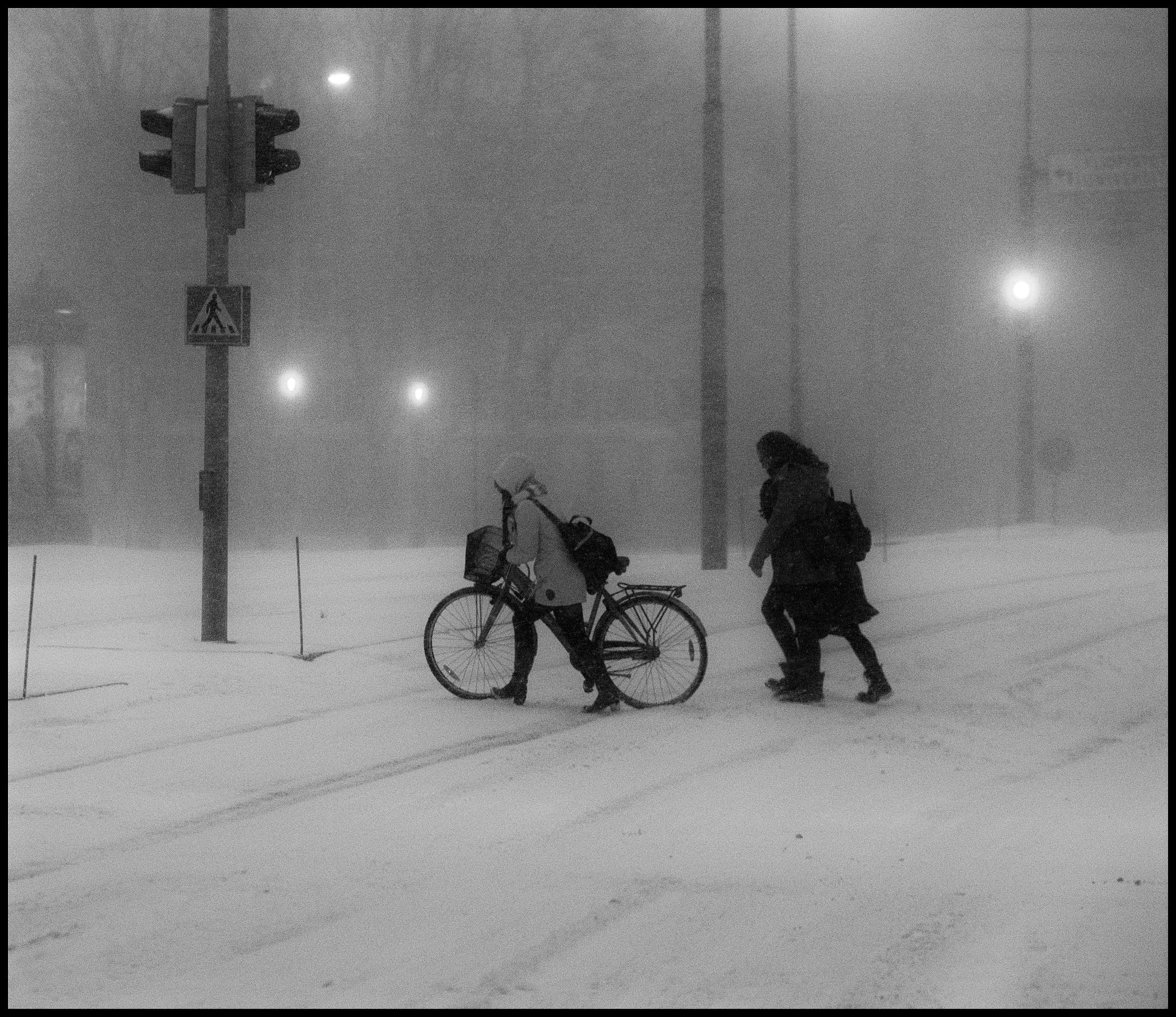 Sigma 70-200mm F2.8 EX DG OS HSM sample photo. Blizzard photography