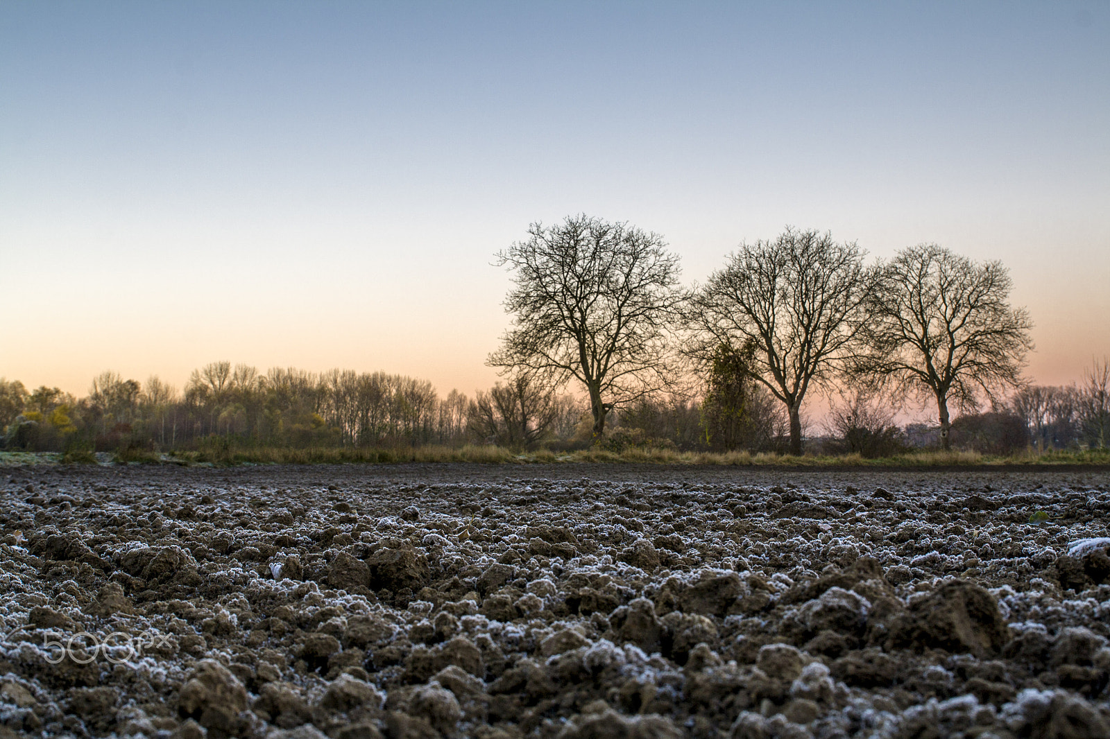 Canon EOS 1000D (EOS Digital Rebel XS / EOS Kiss F) sample photo. Morning frost photography