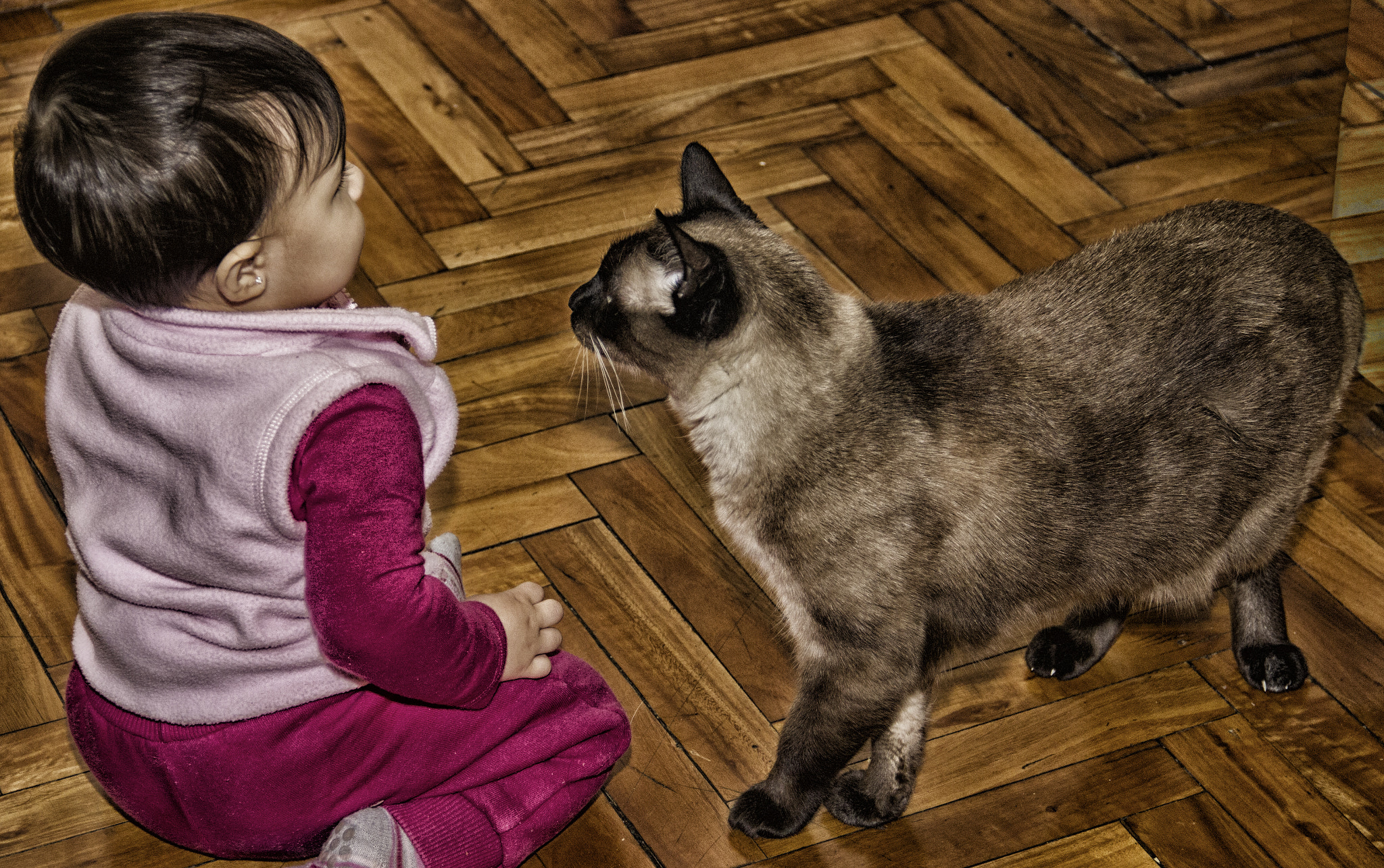 Canon EOS 550D (EOS Rebel T2i / EOS Kiss X4) sample photo. Clara and miky photography