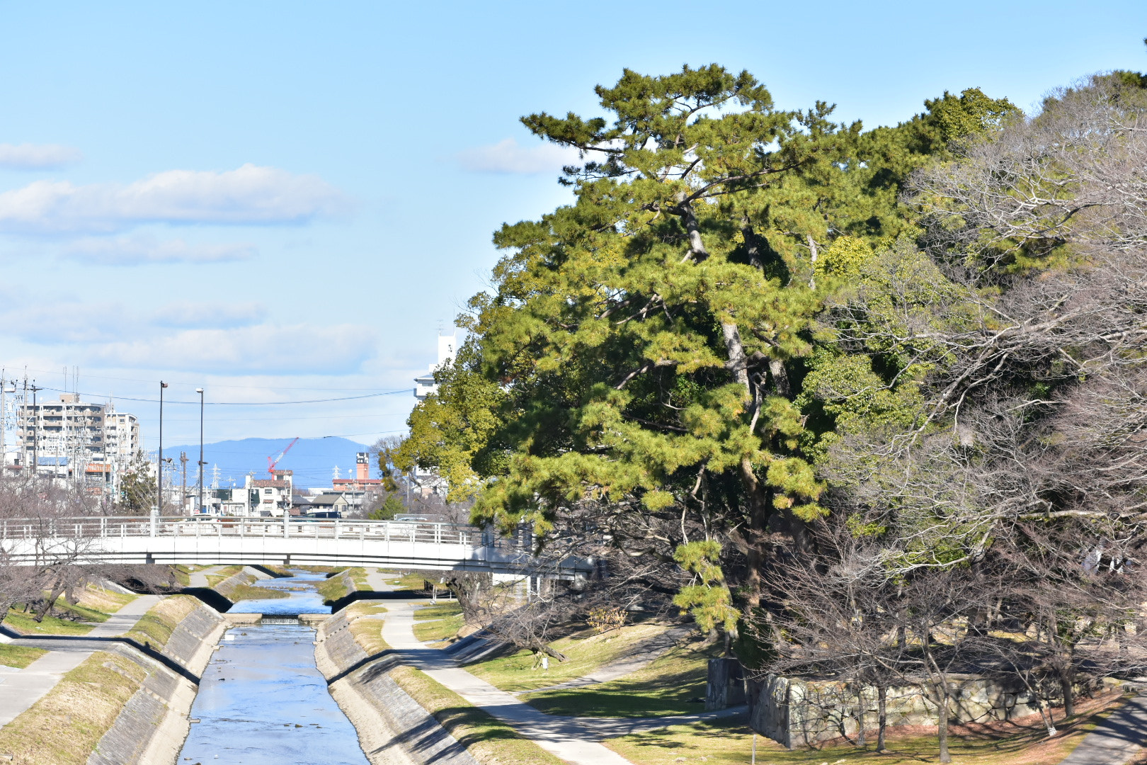 Nikon AF-S DX Micro-Nikkor 85mm F3.5G ED VR sample photo