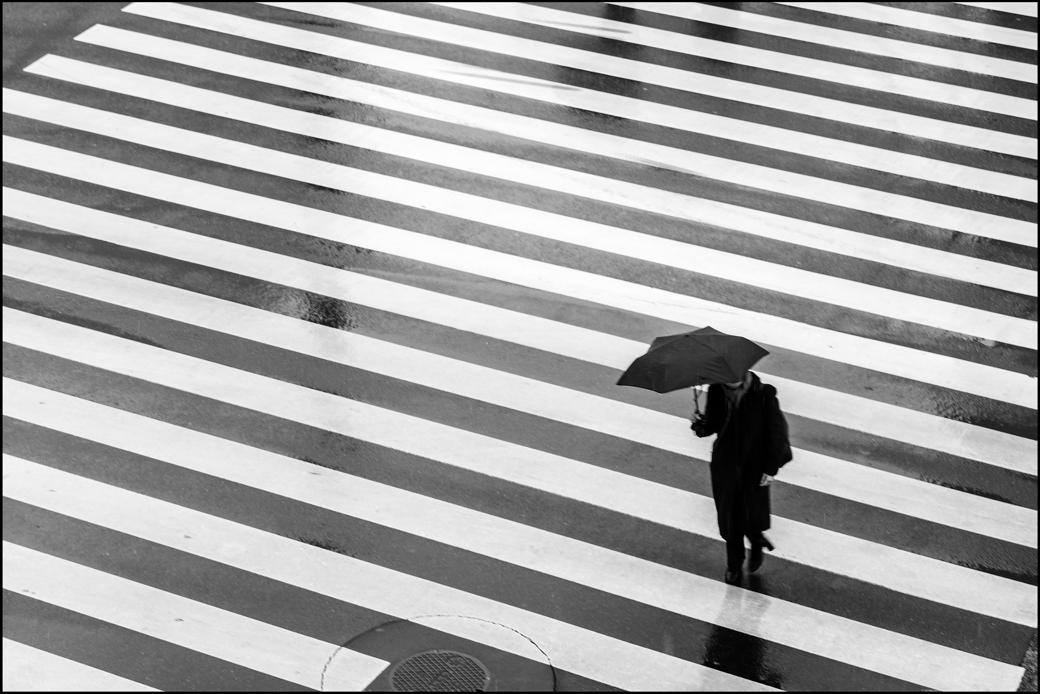 Leica APO-Summicron-M 90mm F2 ASPH sample photo. Woman in zebra photography