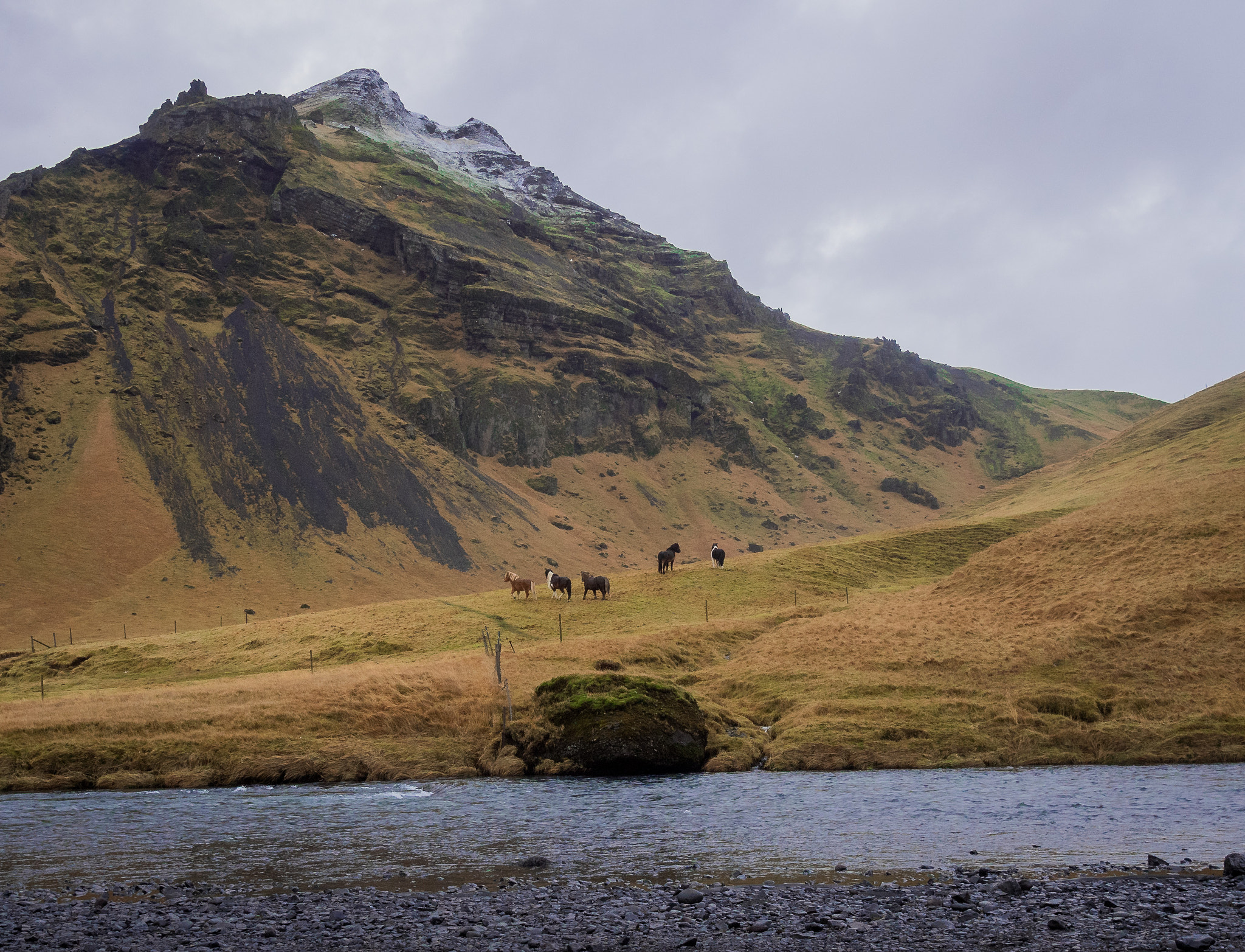 Olympus OM-D E-M5 II sample photo. Horses by skogafoss, iceland photography